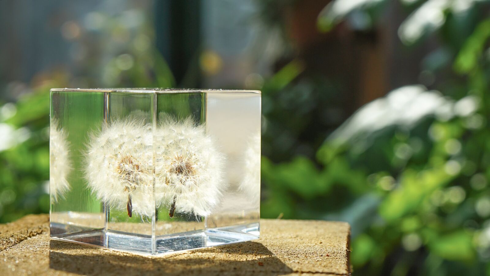 Sony a7 II + Sony FE 28-70mm F3.5-5.6 OSS sample photo. Dandelion, glass, crystal photography