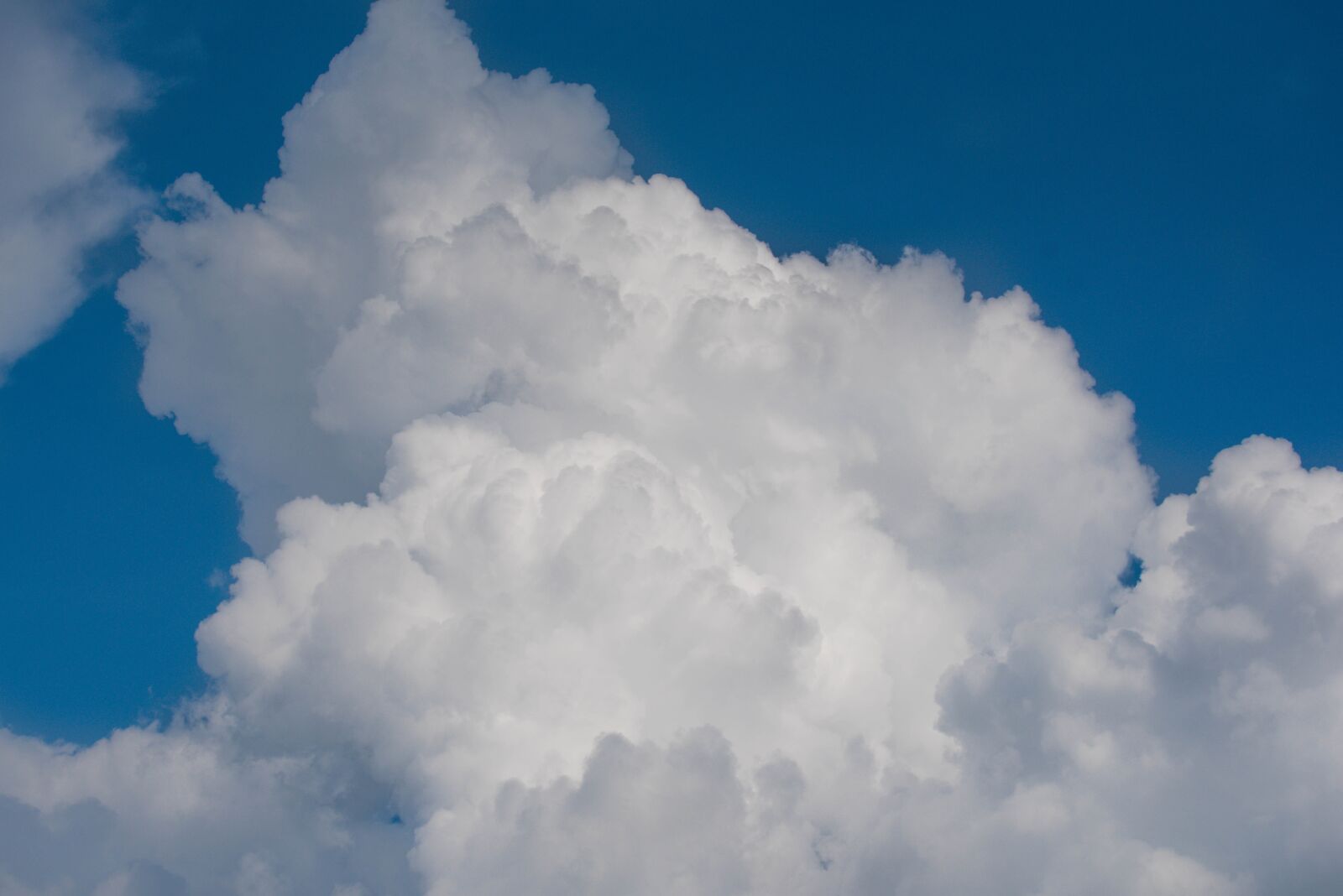 Nikon D750 sample photo. Sky, ppt backgrounds, white photography
