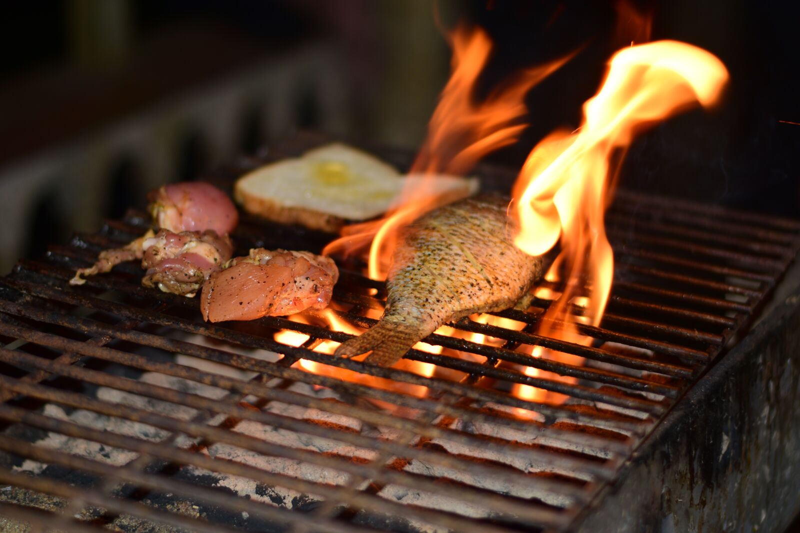 Nikon D5300 sample photo. Fire, bbq, grill photography