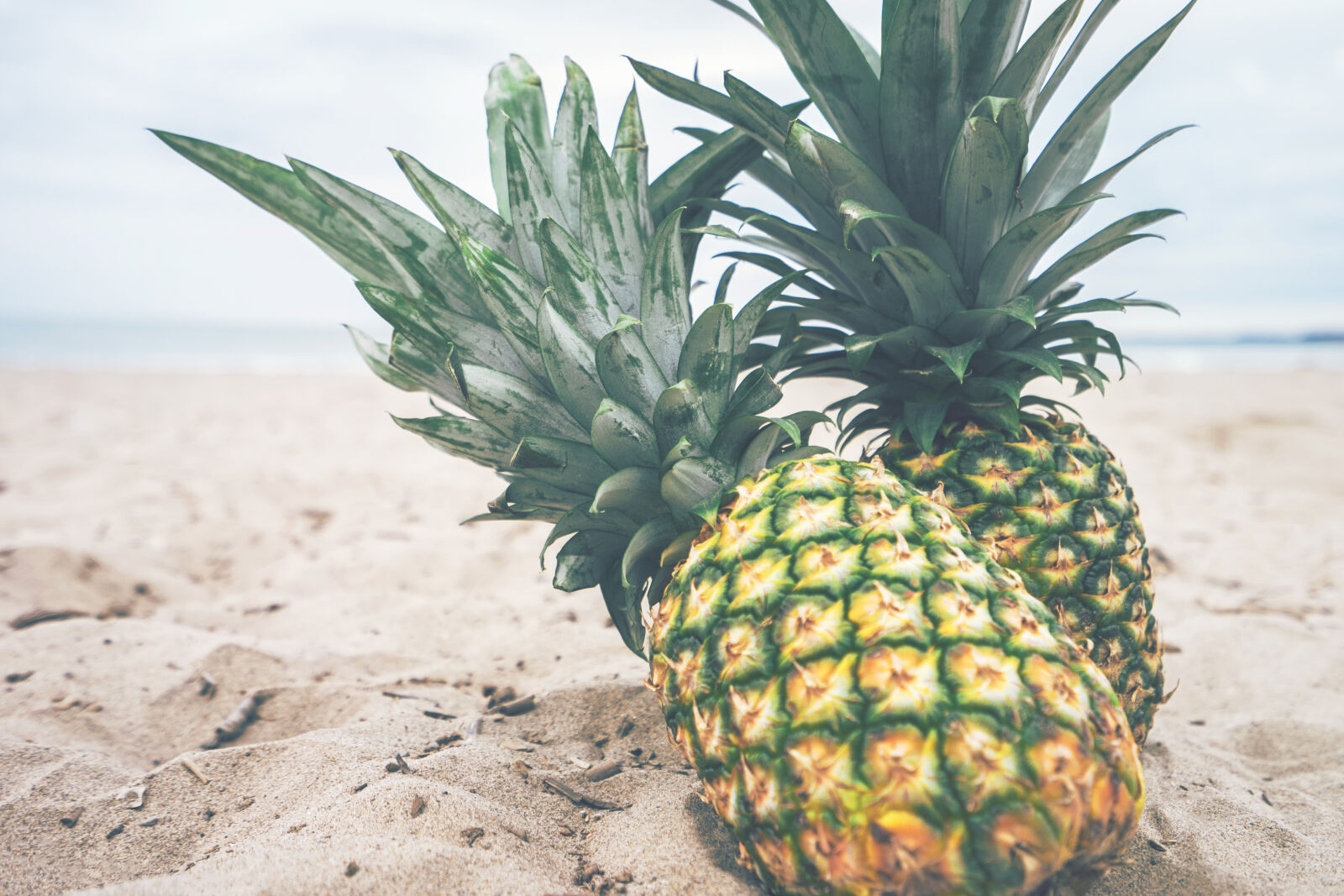 Sony a7 II + Sony Vario-Tessar T* FE 16-35mm F4 ZA OSS sample photo. Beach, sand, fruits, seashore photography