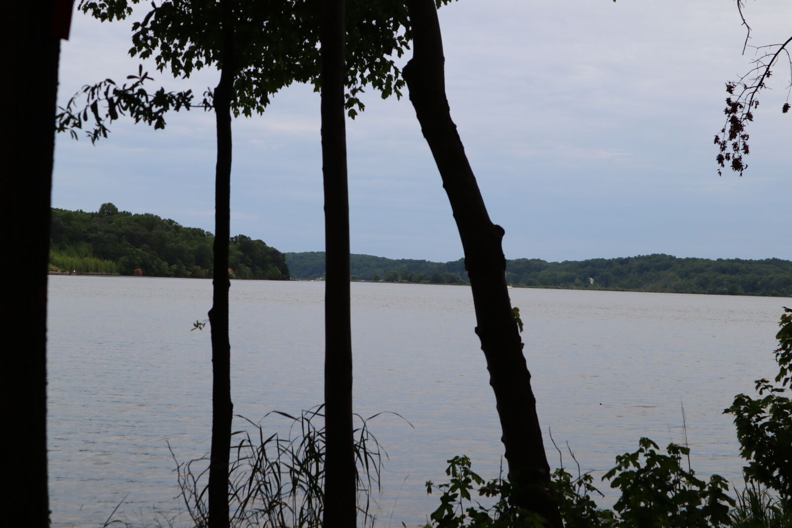Canon EOS M50 (EOS Kiss M) sample photo. Shore, water, forest photography