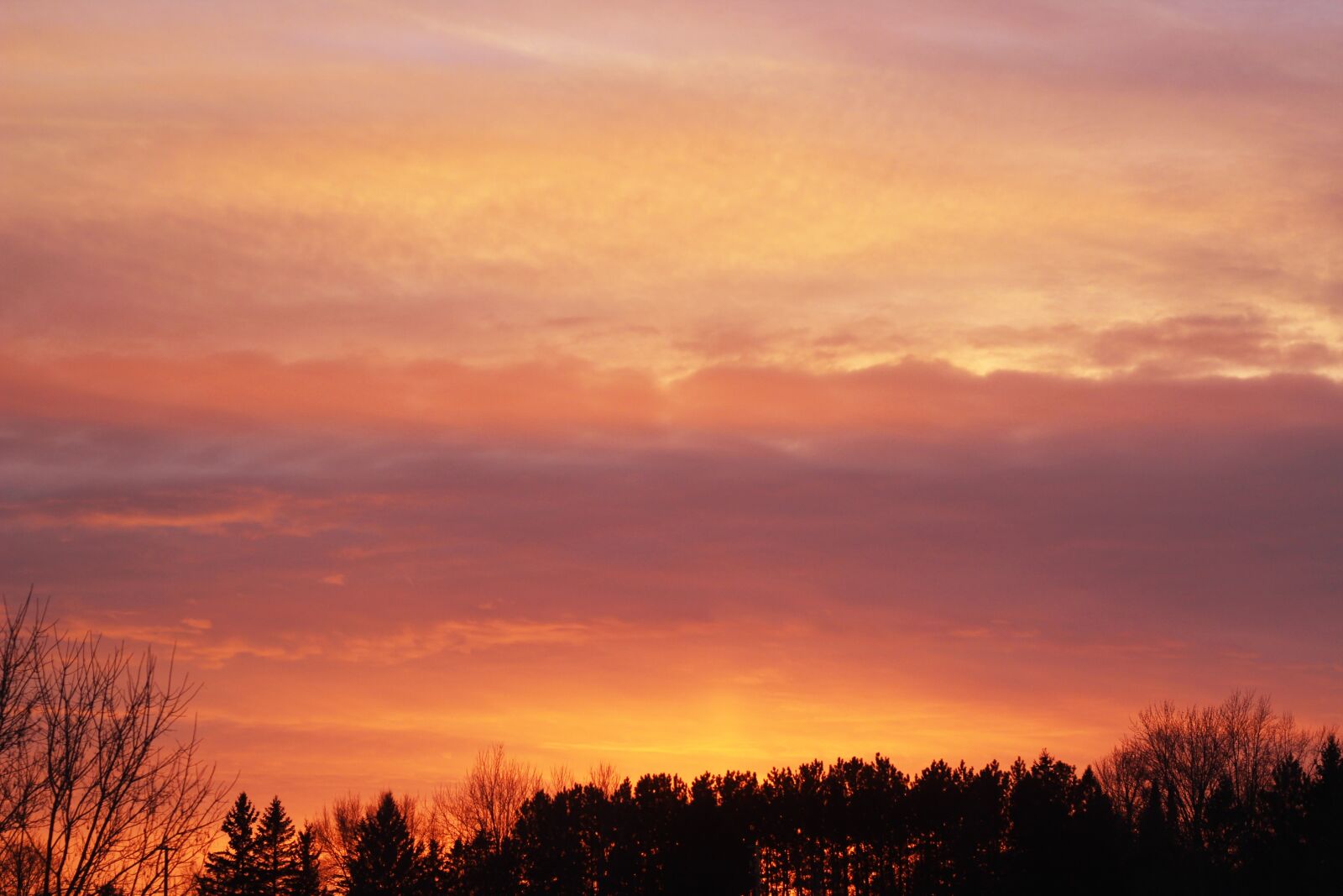 Canon EOS 1200D (EOS Rebel T5 / EOS Kiss X70 / EOS Hi) sample photo. Sunset, pink, yellow photography
