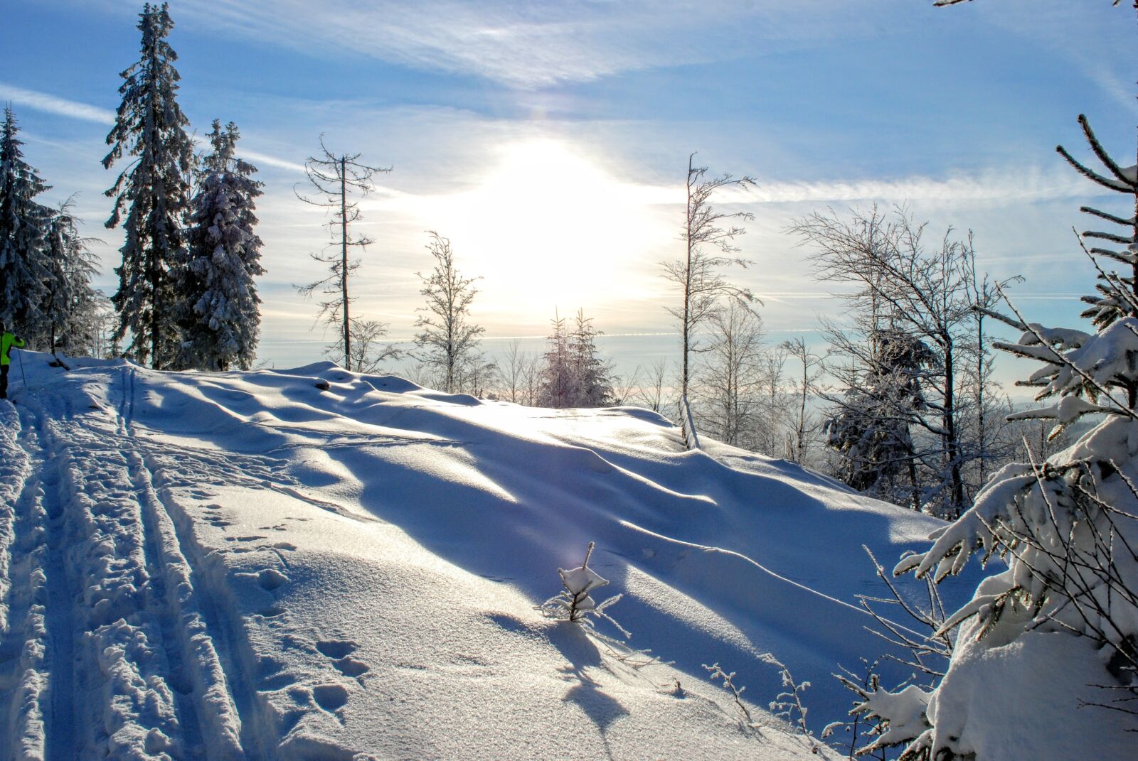 Nikon D80 sample photo. Snow, winter, cold photography