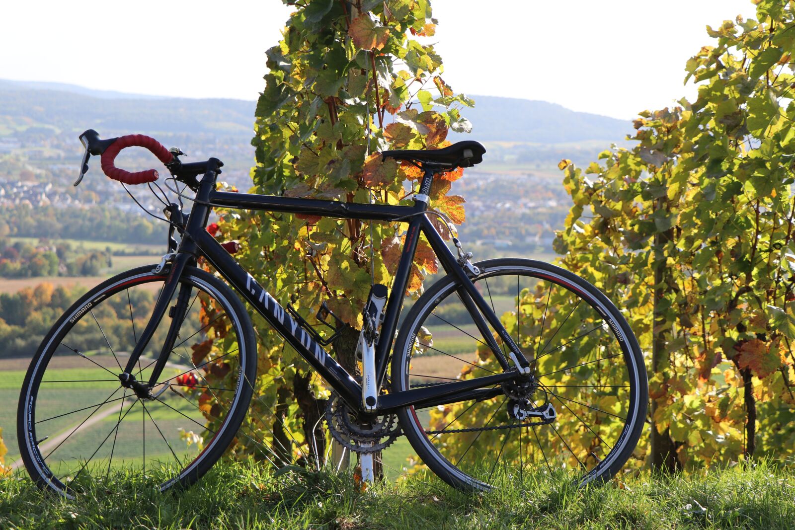 Canon EF-S 18-135mm F3.5-5.6 IS USM sample photo. Autumn, vineyards, bike photography