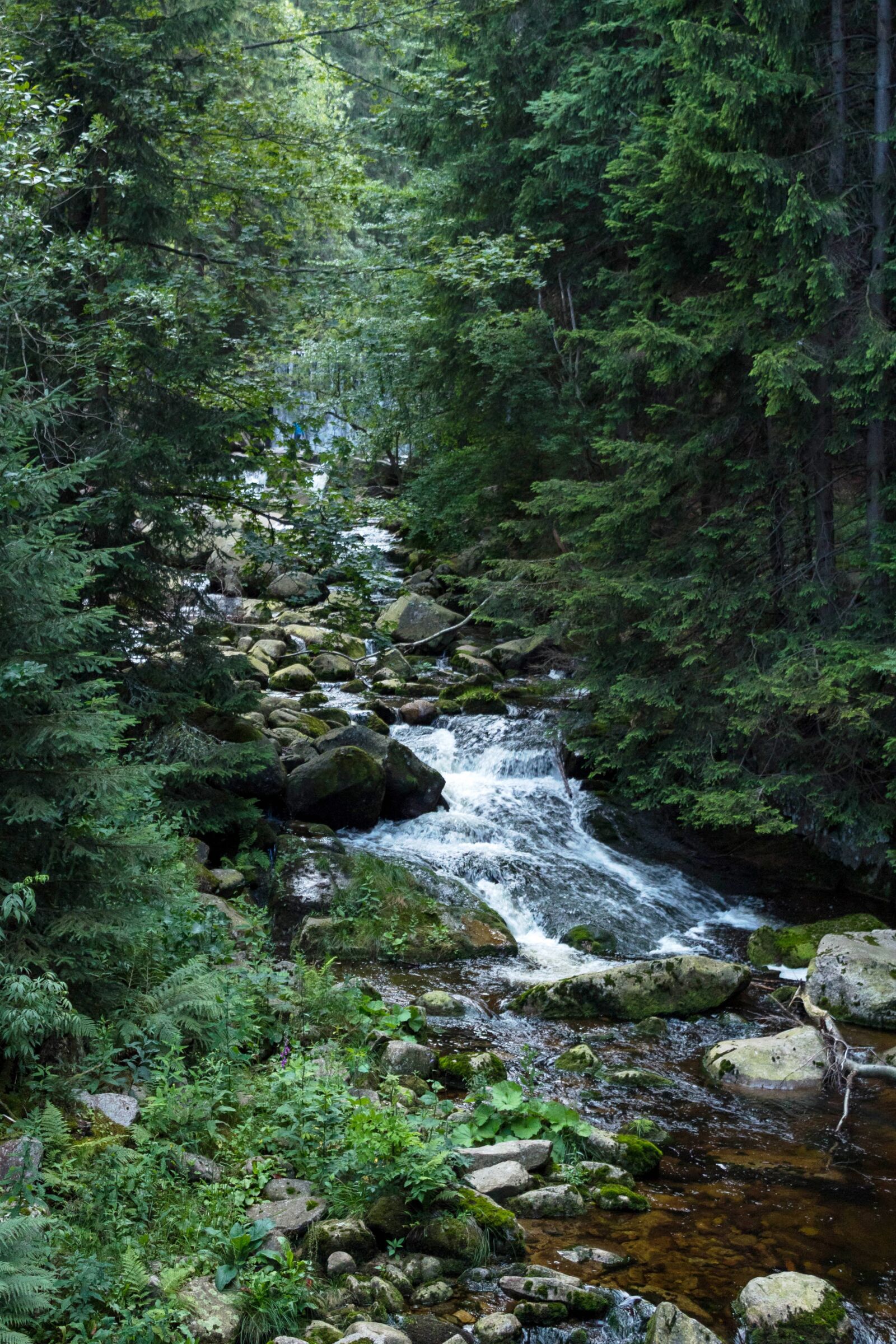 Canon EOS 1300D (EOS Rebel T6 / EOS Kiss X80) sample photo. Nature, river, waterfall photography