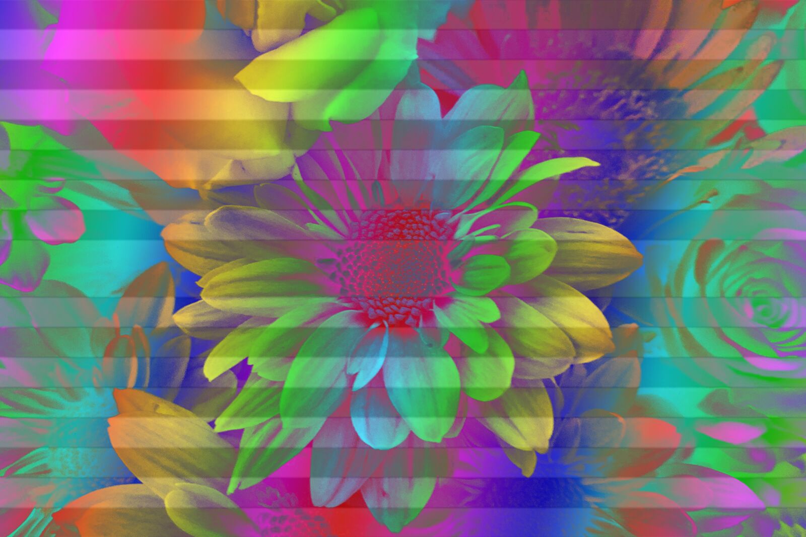 Google Pixel sample photo. Psychedelic, flower, rainbow photography