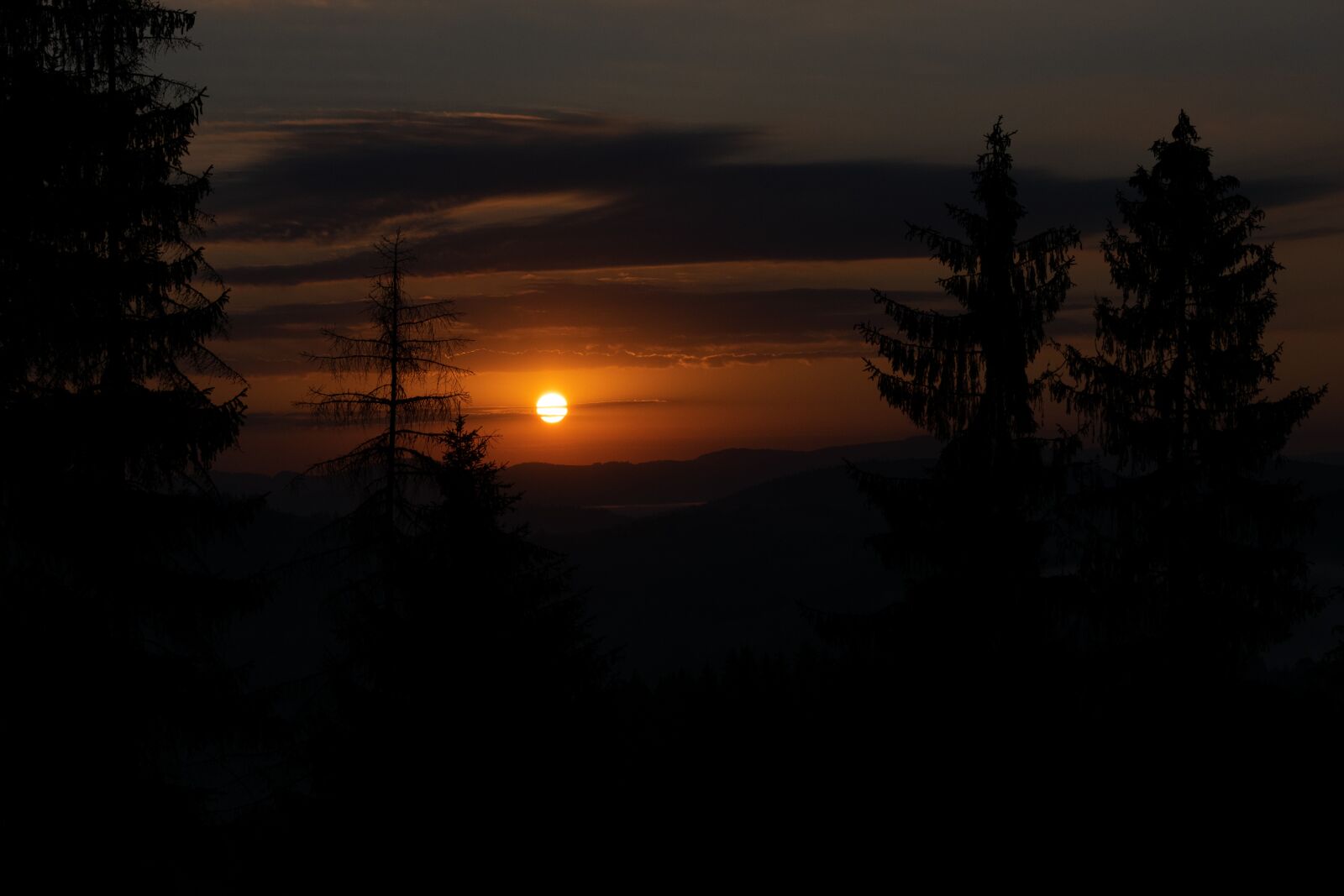 Nikon D3300 sample photo. Sunset, in the evening photography