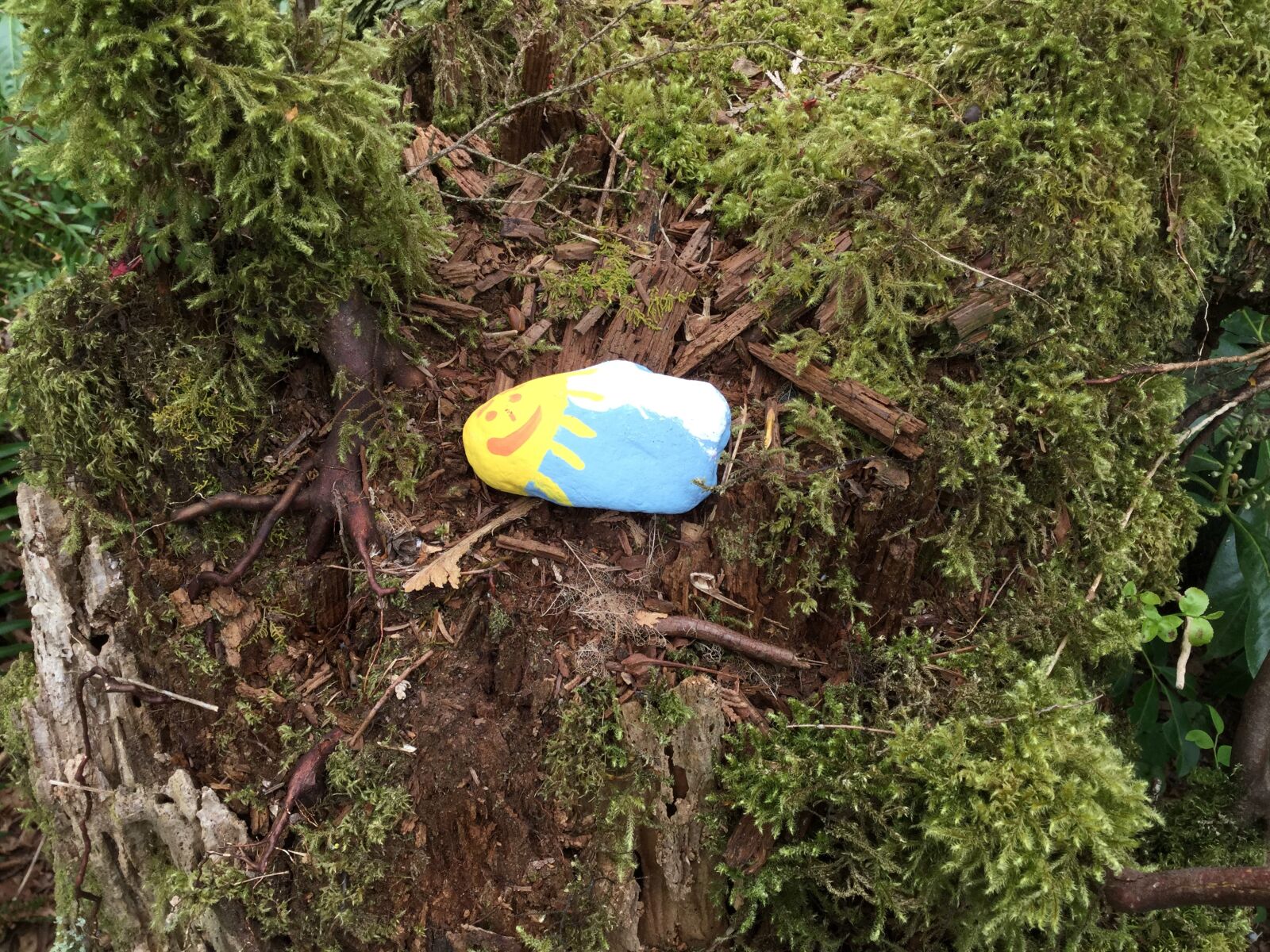 Apple iPod touch sample photo. Painted rock, sunshine, forrest photography