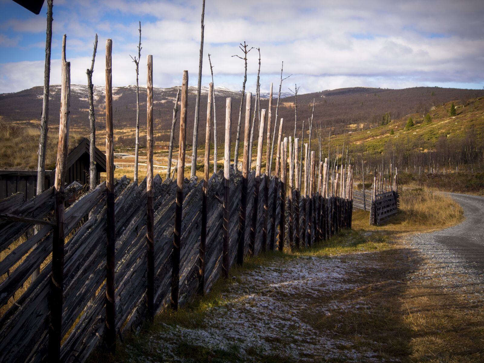 Olympus OM-D E-M5 sample photo. Hash, fence, the nature photography