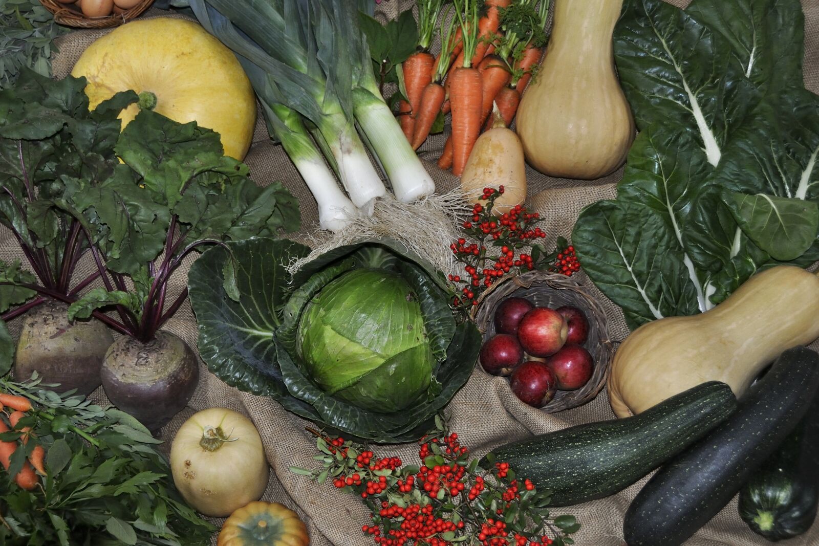 Nikon D5000 sample photo. Thanksgiving, vegetables, harvest photography