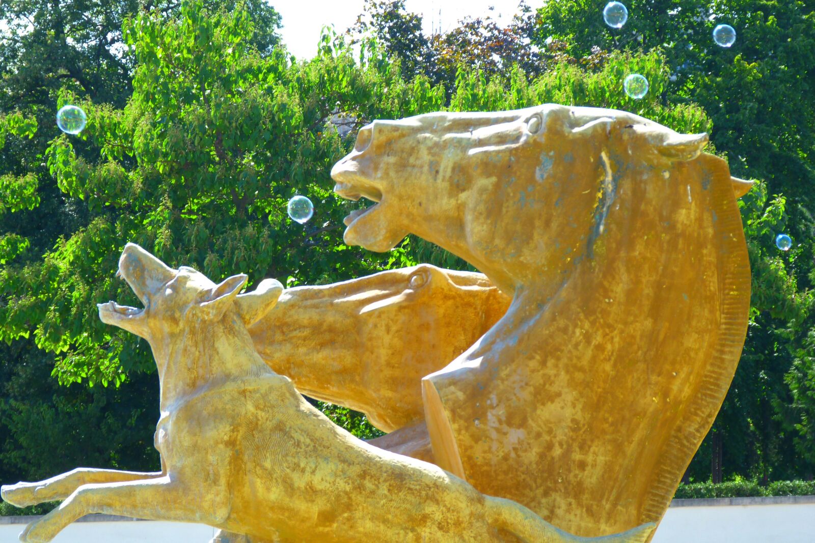 Panasonic Lumix DMC-FZ40 (Lumix DMC-FZ45) sample photo. Sculpture, bubbles, paris photography