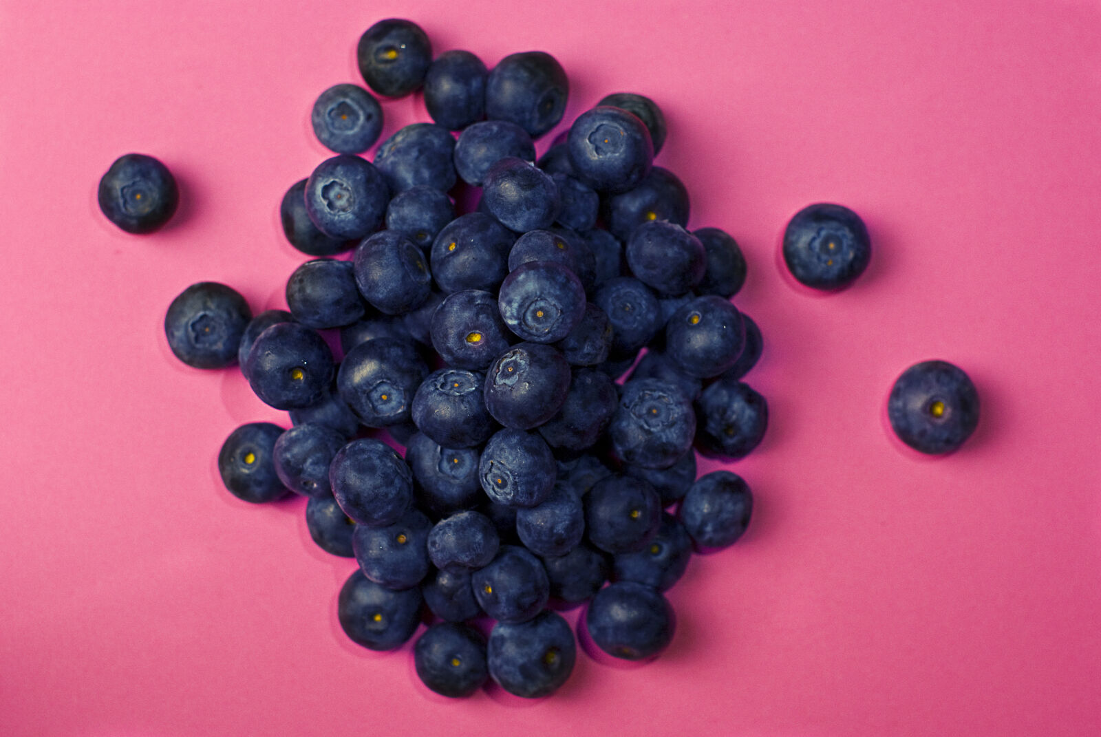 Nikon D60 sample photo. Food, blueberries, berries photography