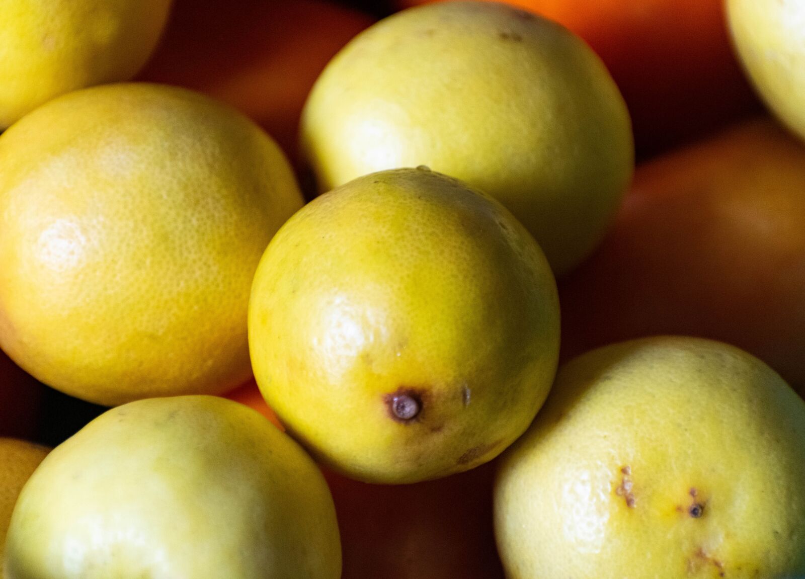 Nikon D3300 sample photo. Lemon, citrus, food photography