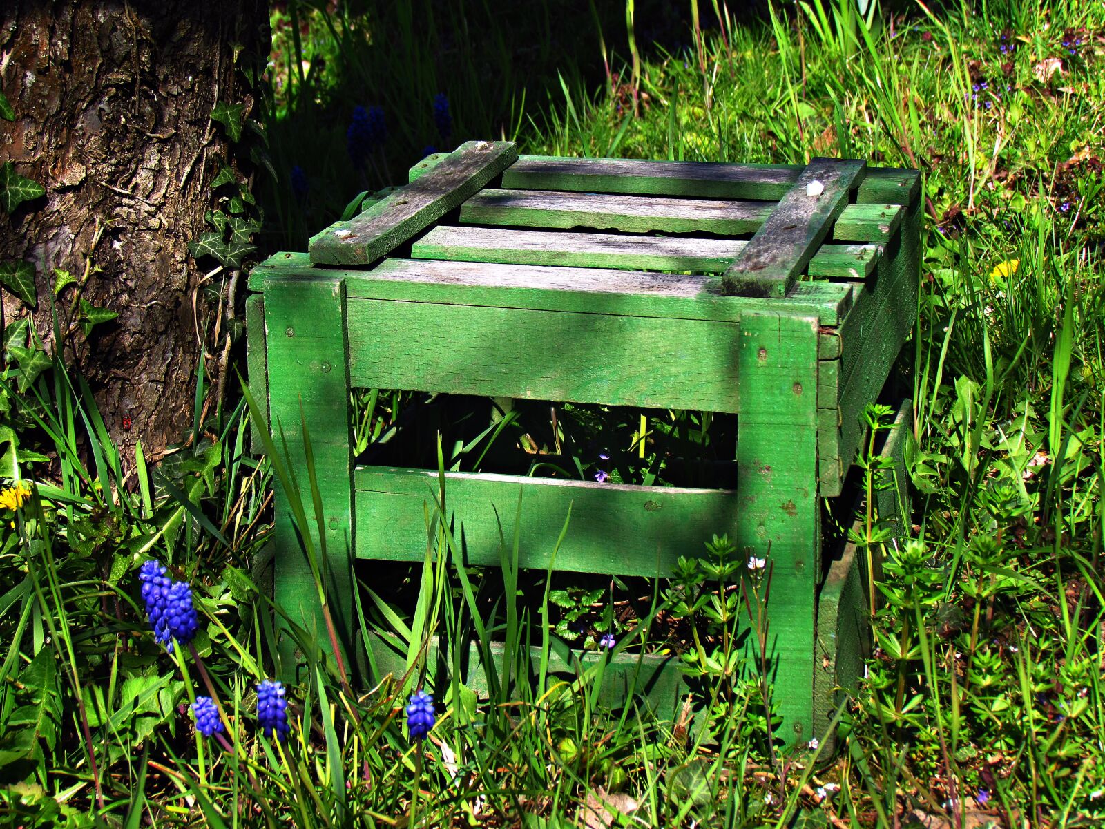 Canon PowerShot SX30 IS sample photo. Green, box, seat photography