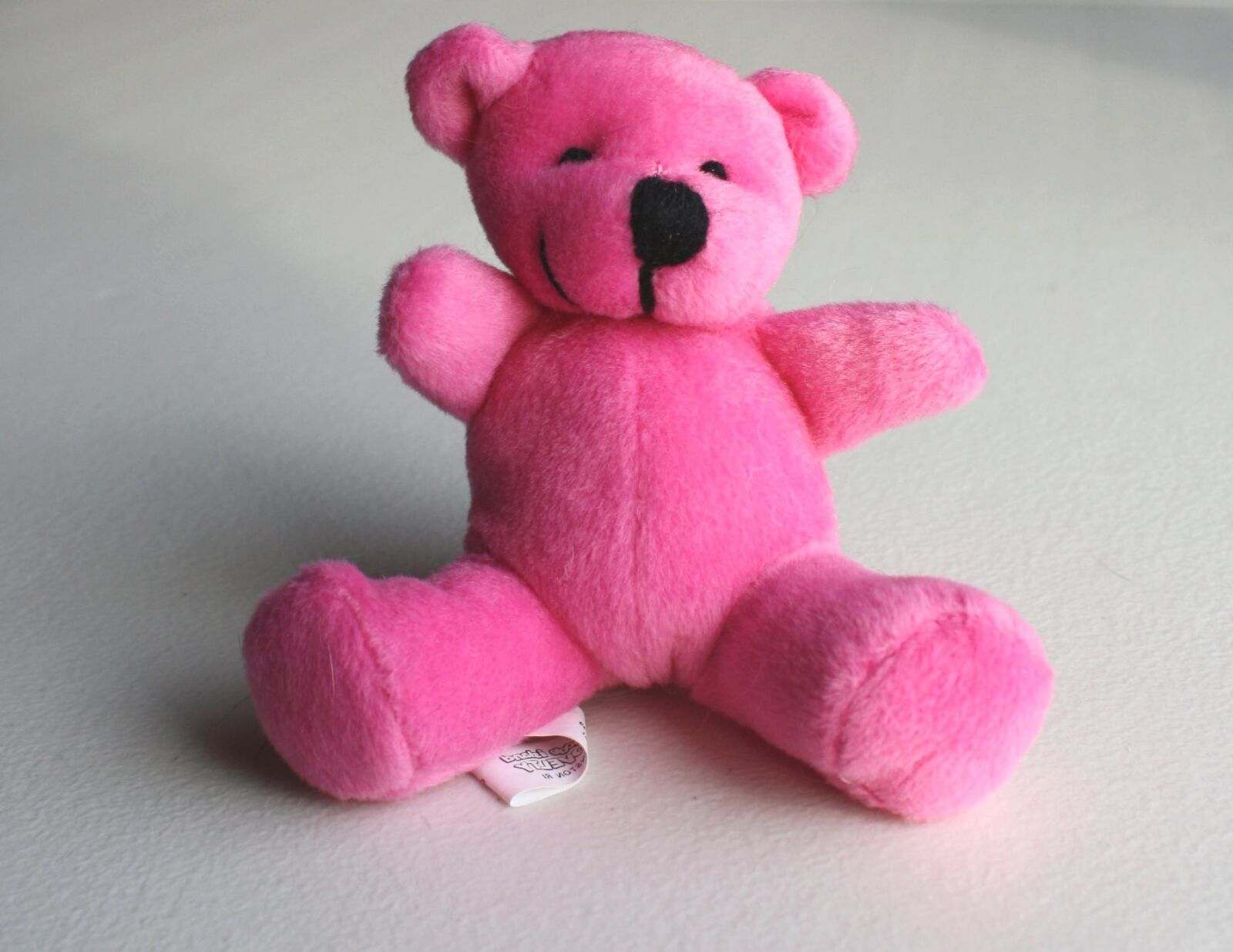 Canon EOS 1000D (EOS Digital Rebel XS / EOS Kiss F) sample photo. Pink teddy bear, toy photography