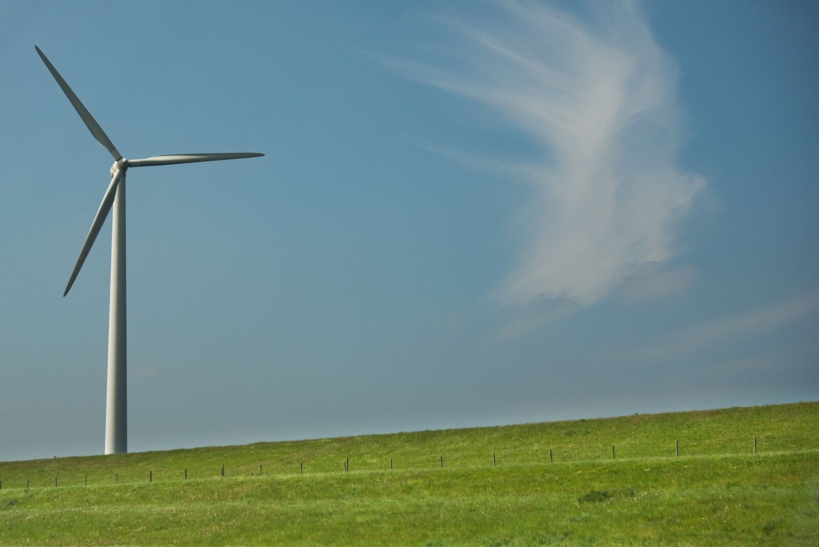 Nikon D600 sample photo. Windmill, dutch, green photography