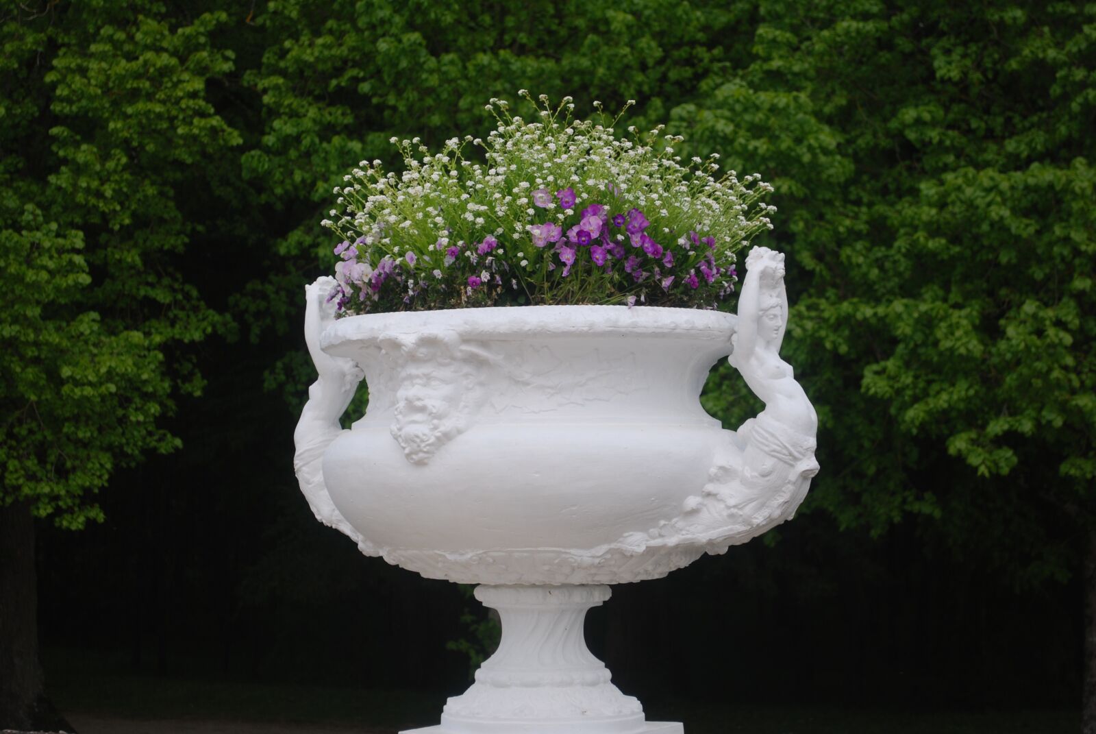 Nikon D60 sample photo. Pot, flowers, decoration photography