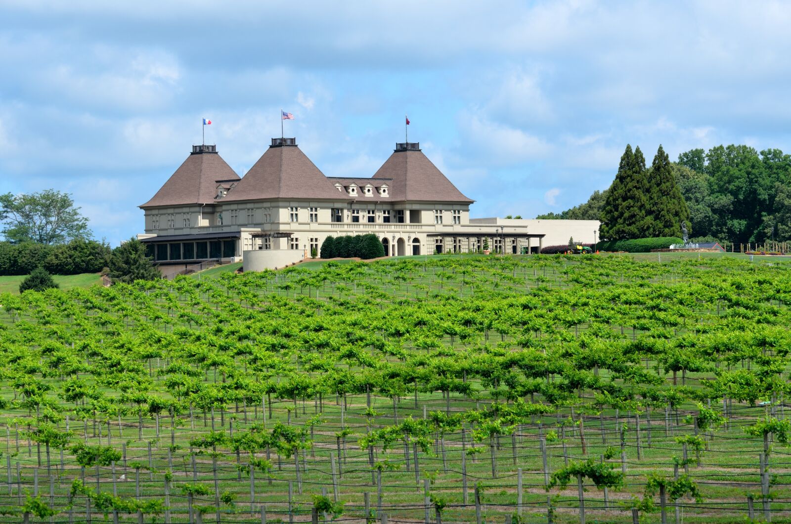 Nikon D7000 sample photo. Vine yard, winery, georgia photography