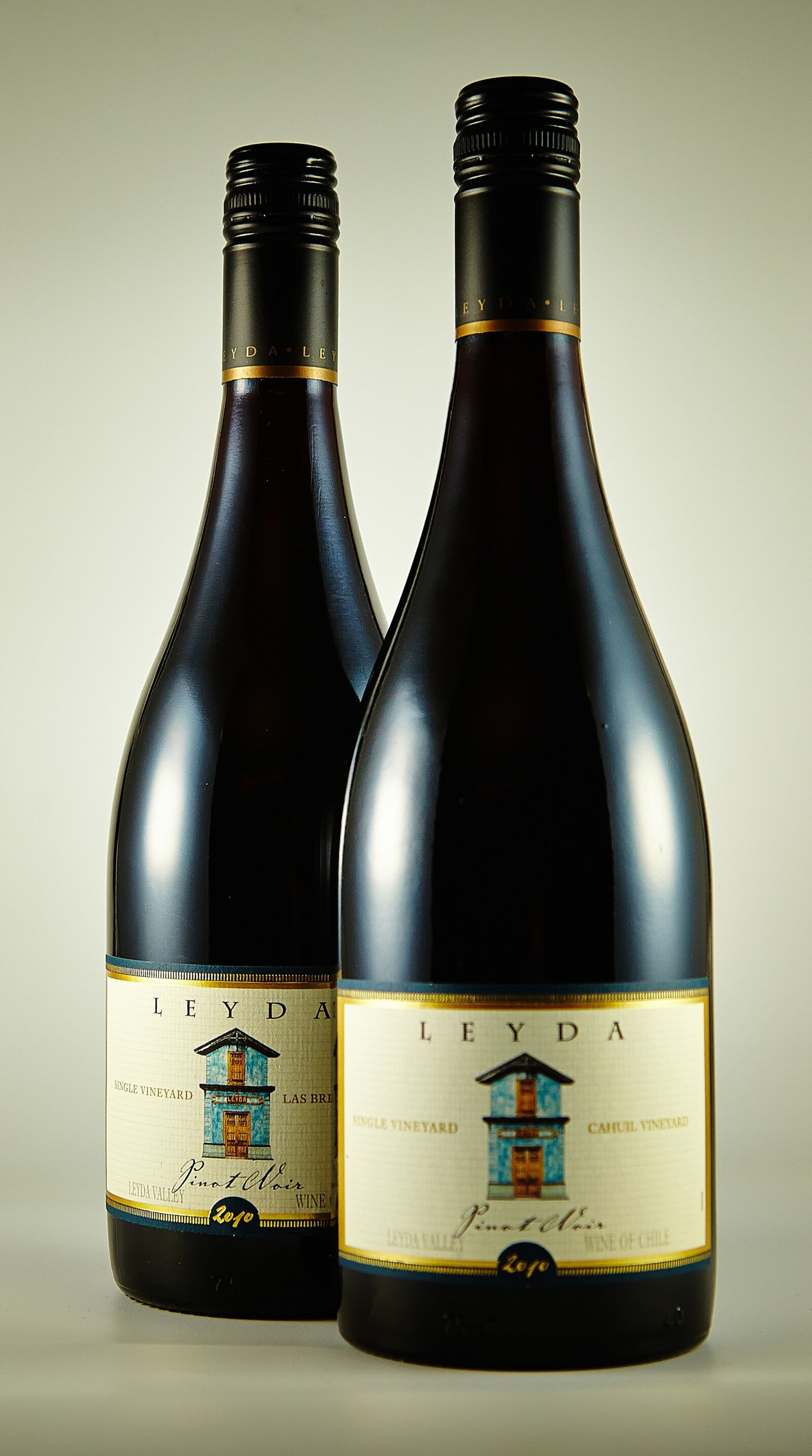 Canon EOS 5D Mark II sample photo. Redwine, rotwein, red wine photography