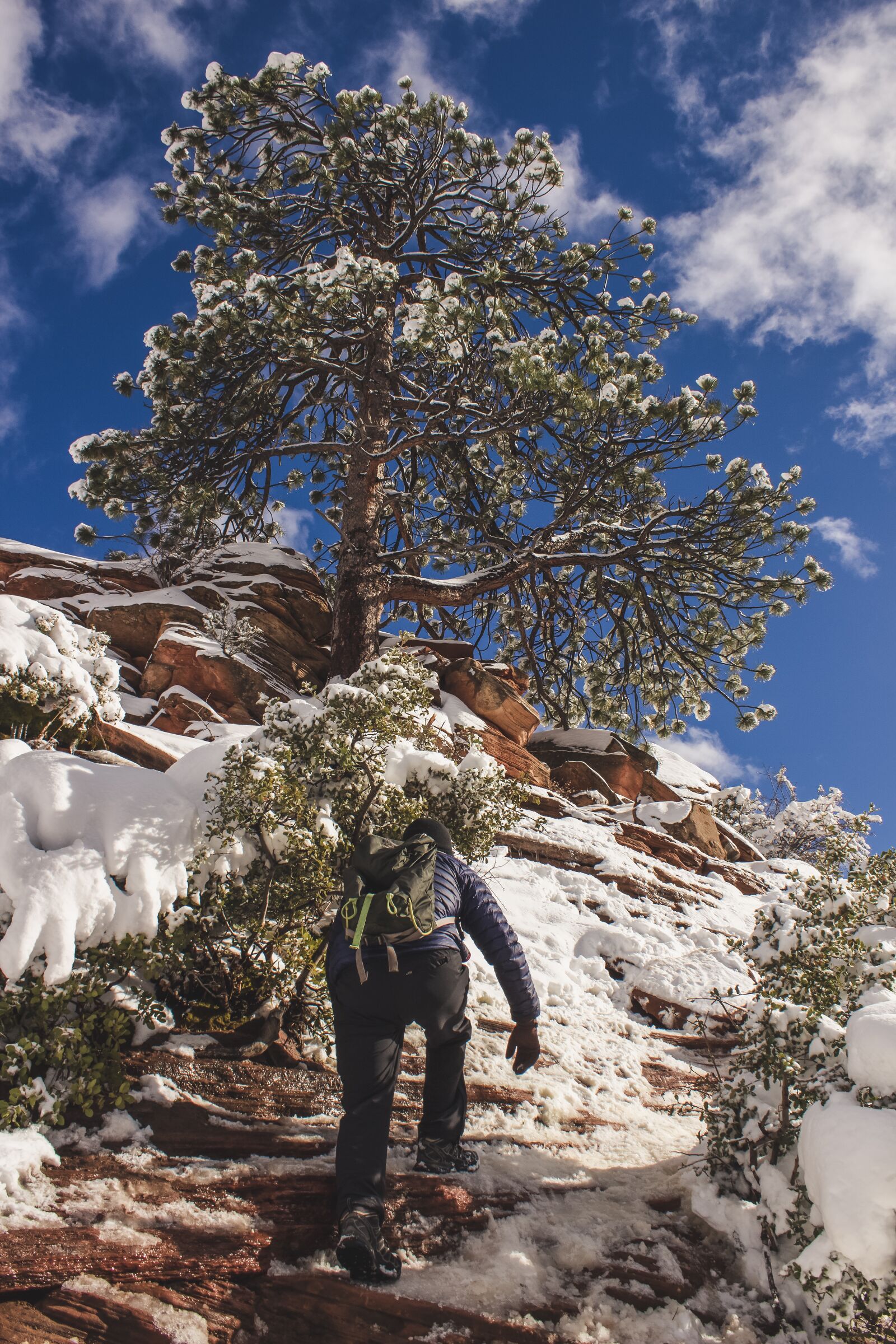 Canon EOS 600D (Rebel EOS T3i / EOS Kiss X5) sample photo. Zion, angels landing, snow photography