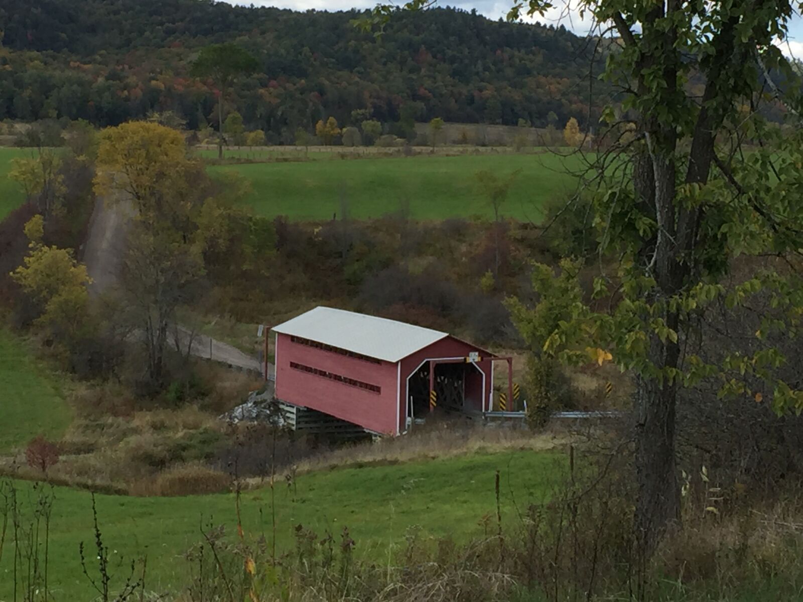 iPhone 6 Plus back camera 4.15mm f/2.2 sample photo. Pine road chelsea quebec photography