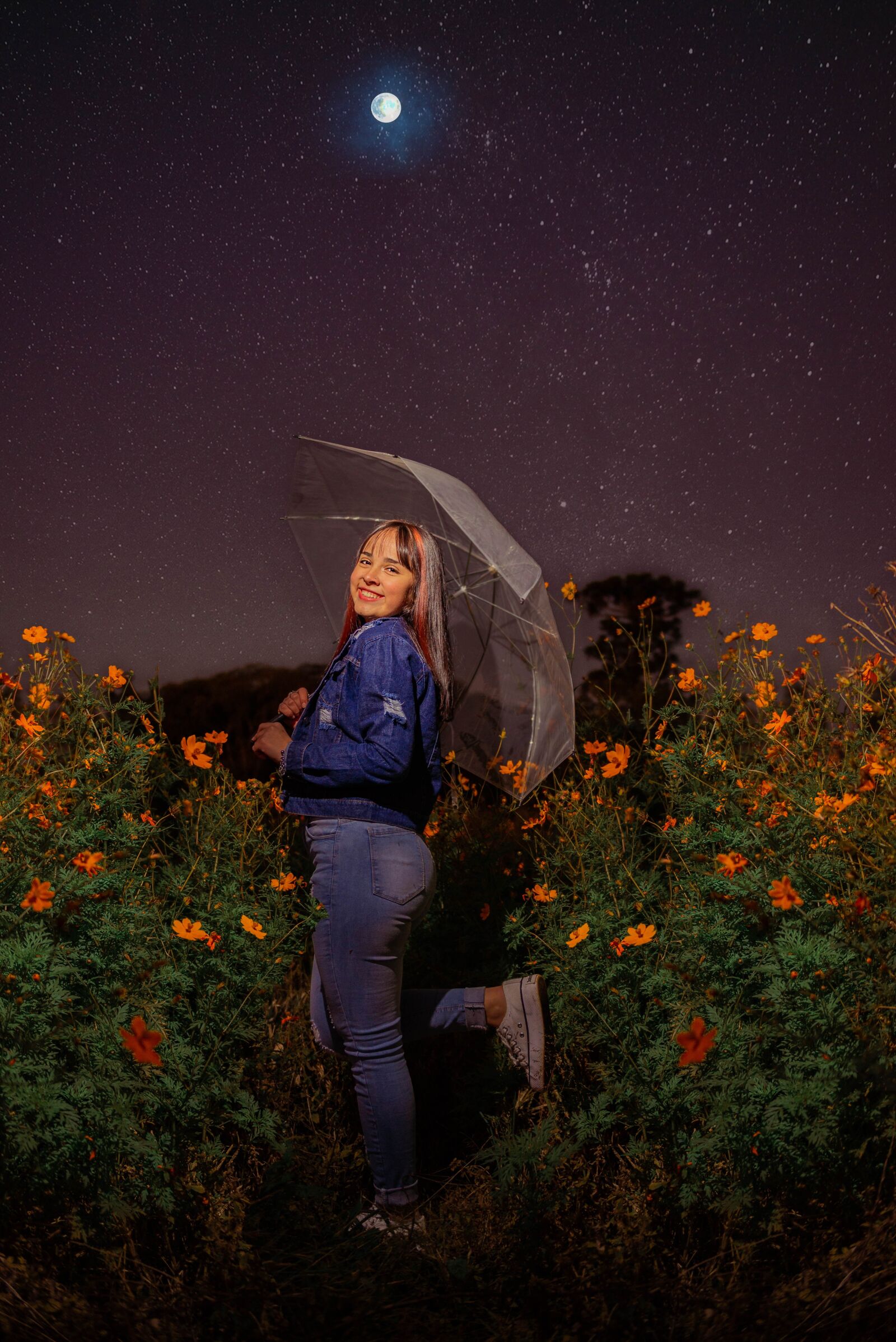 Nikon D610 sample photo. Sky, flowers, spring photography