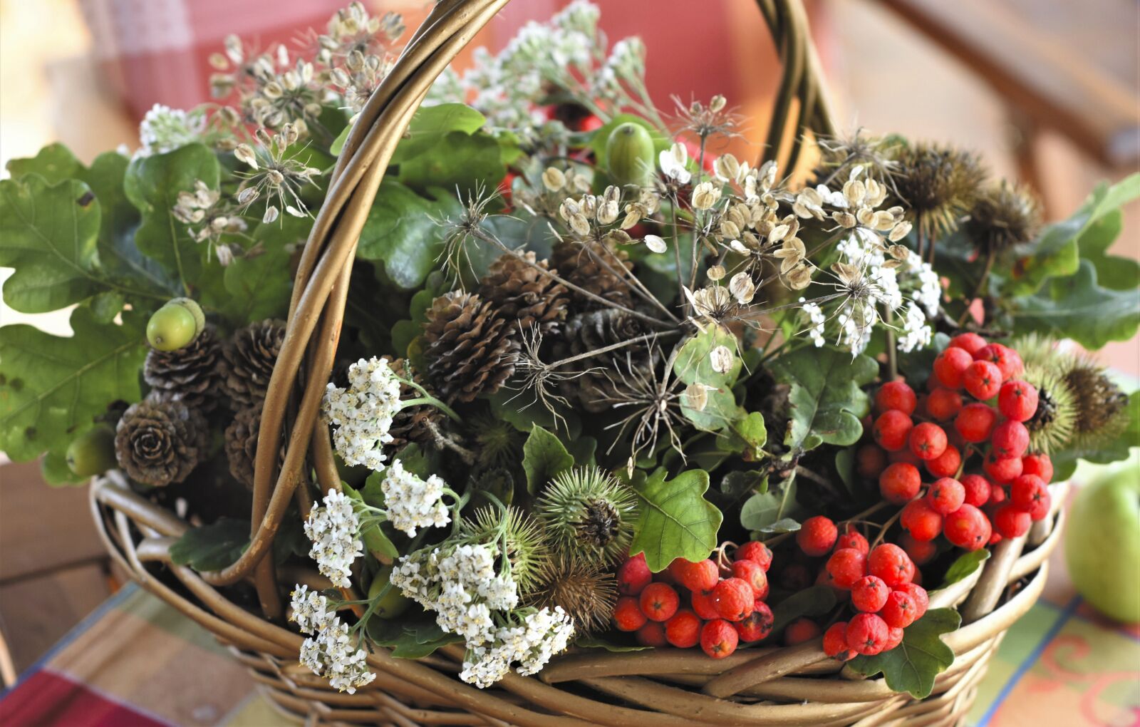 Nikon D7200 sample photo. Basket, plants, fruits photography