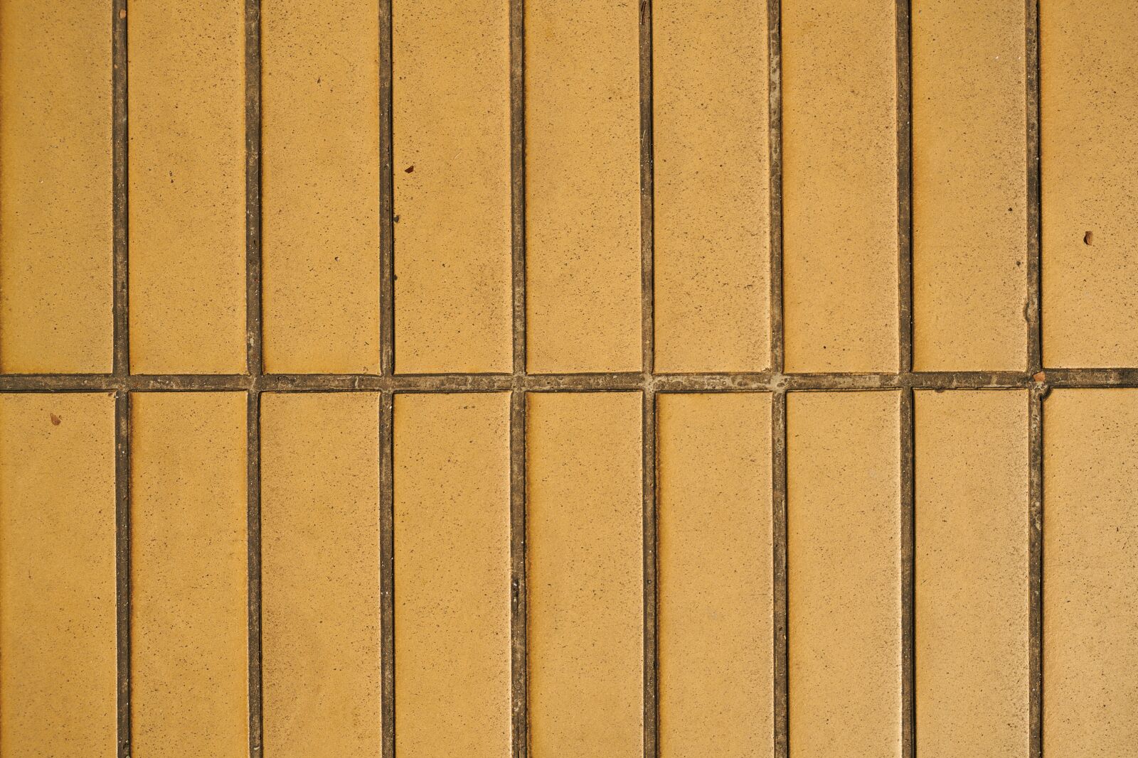 Sony a7R II sample photo. Wood-fibre boards, model, old photography