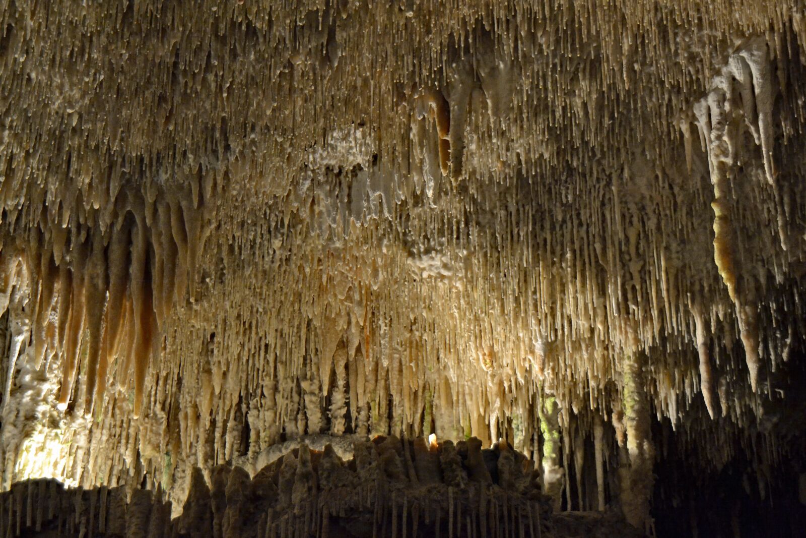 Nikon D3100 sample photo. Drach, mallorca, balearic islands photography