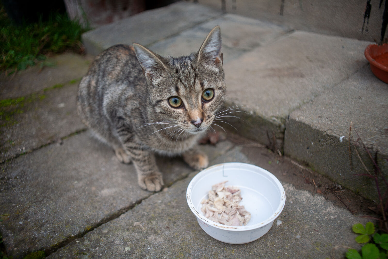 Canon EOS 5D sample photo