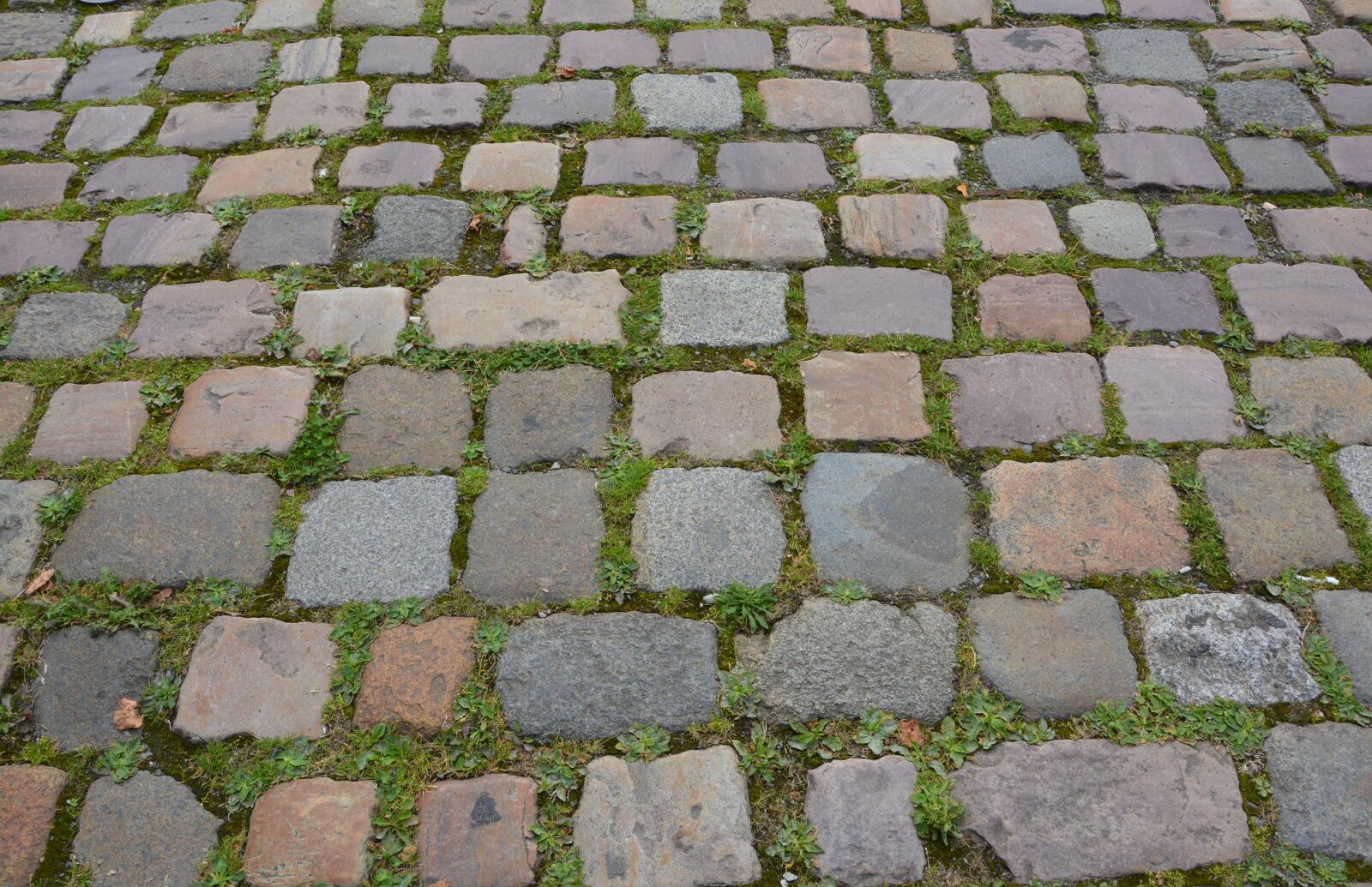 Nikon D5200 sample photo. Road pavers, road pedestrian photography