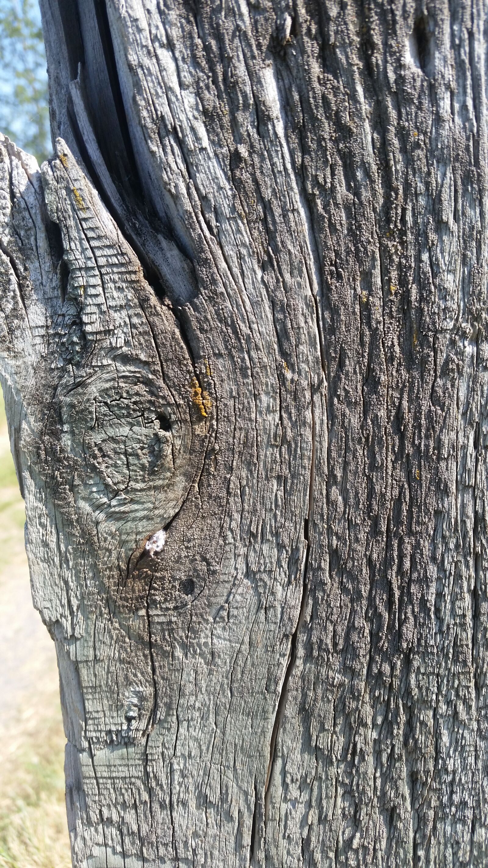 Samsung Galaxy S5 sample photo. Wood, desktop, grey photography