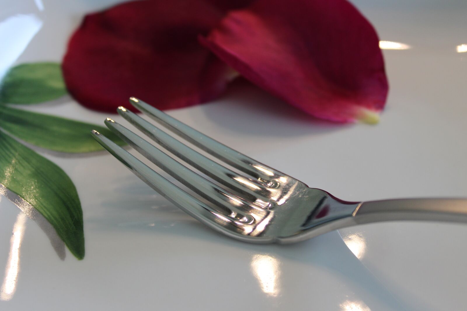 Canon EOS 600D (Rebel EOS T3i / EOS Kiss X5) sample photo. Kitchen, fork, pink photography