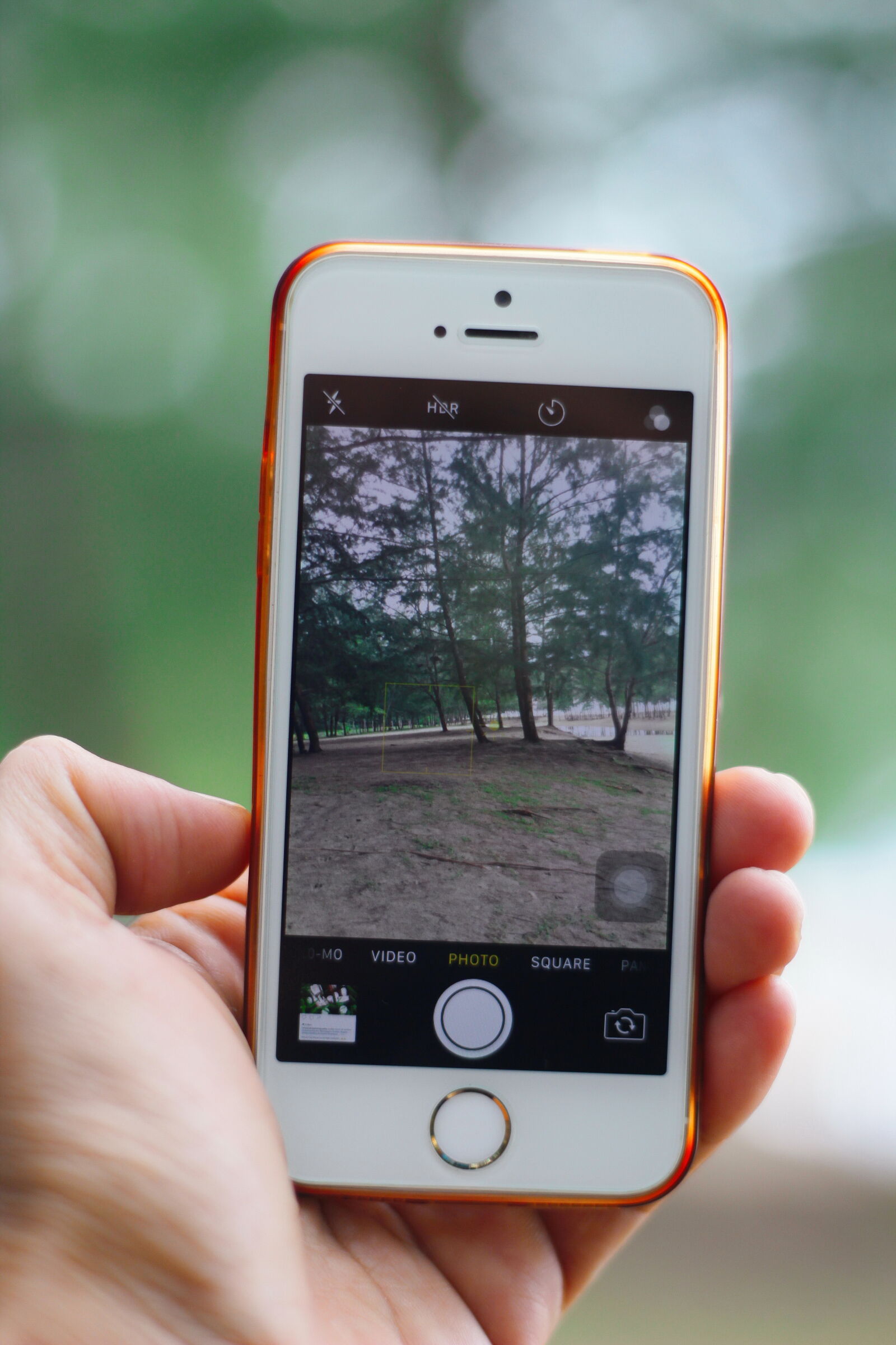 Canon EOS 60D + Canon EF 50mm F1.8 II sample photo. Beach, landscape, green, iphone photography