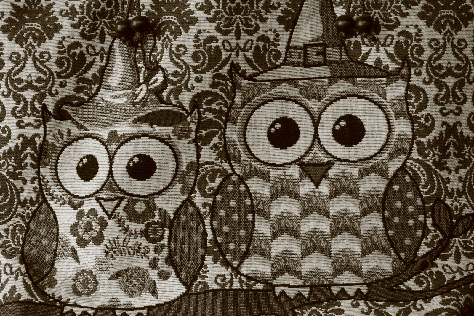 Canon EOS 700D (EOS Rebel T5i / EOS Kiss X7i) sample photo. Owls, birds, animal photography