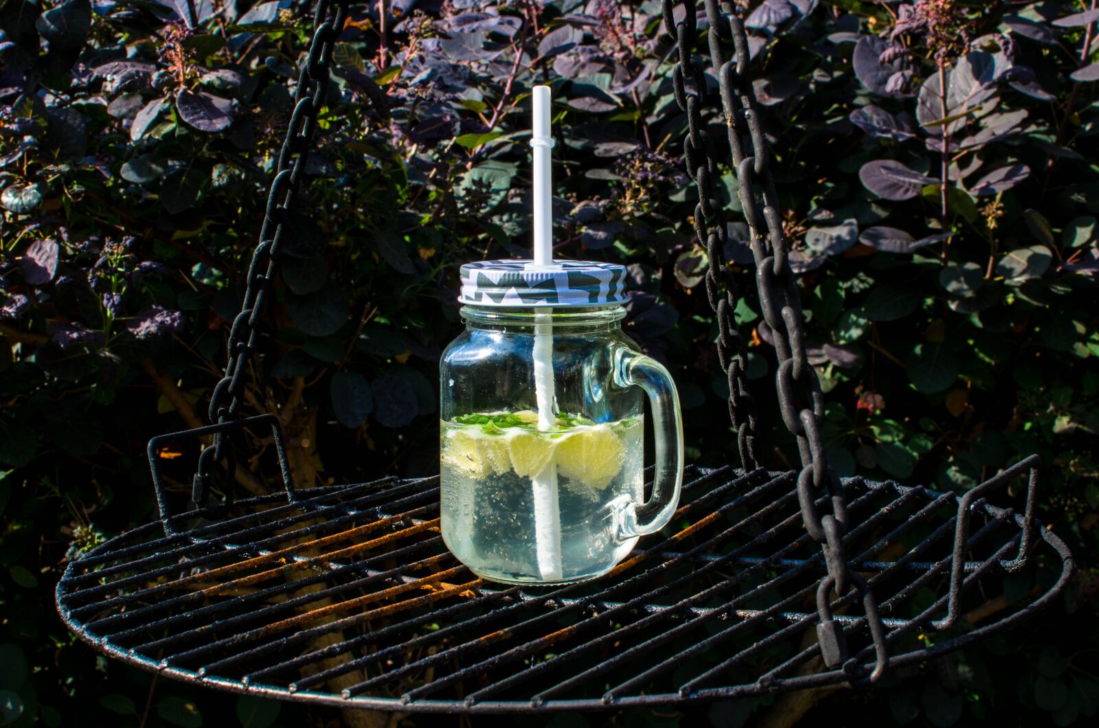 Nikon D5100 sample photo. Jar, grill, the plot photography