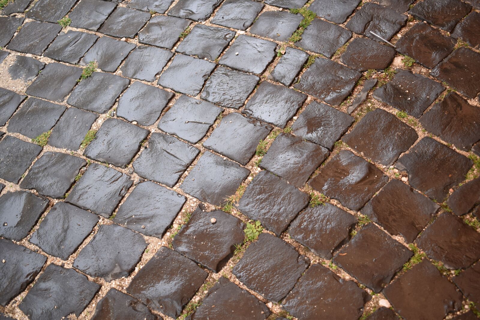 Nikon D3300 sample photo. Wet, road, the cobble photography