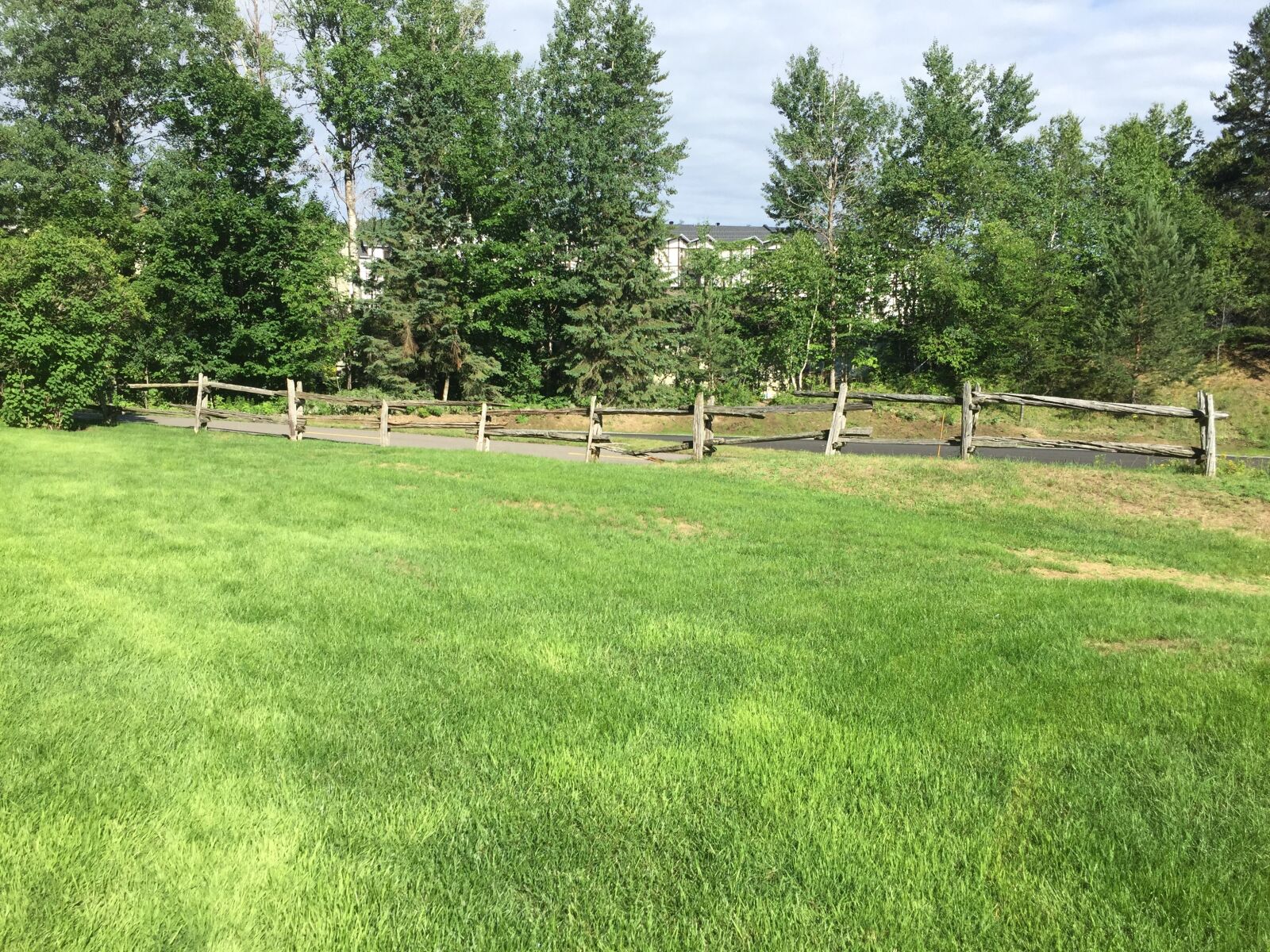 Apple iPhone 6 sample photo. Countryside, meadow, summer photography