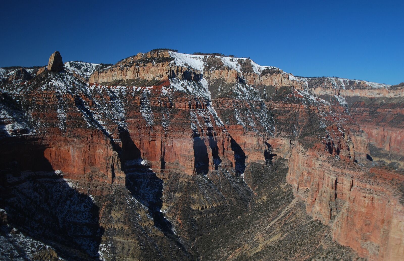 Nikon D40X sample photo. Grand canyon, north rim photography