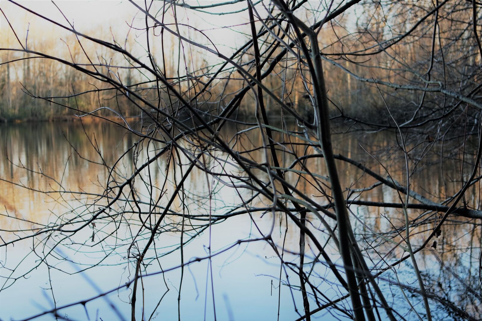 NX 20-50mm F3.5-5.6 sample photo. Pond, trees, woods photography
