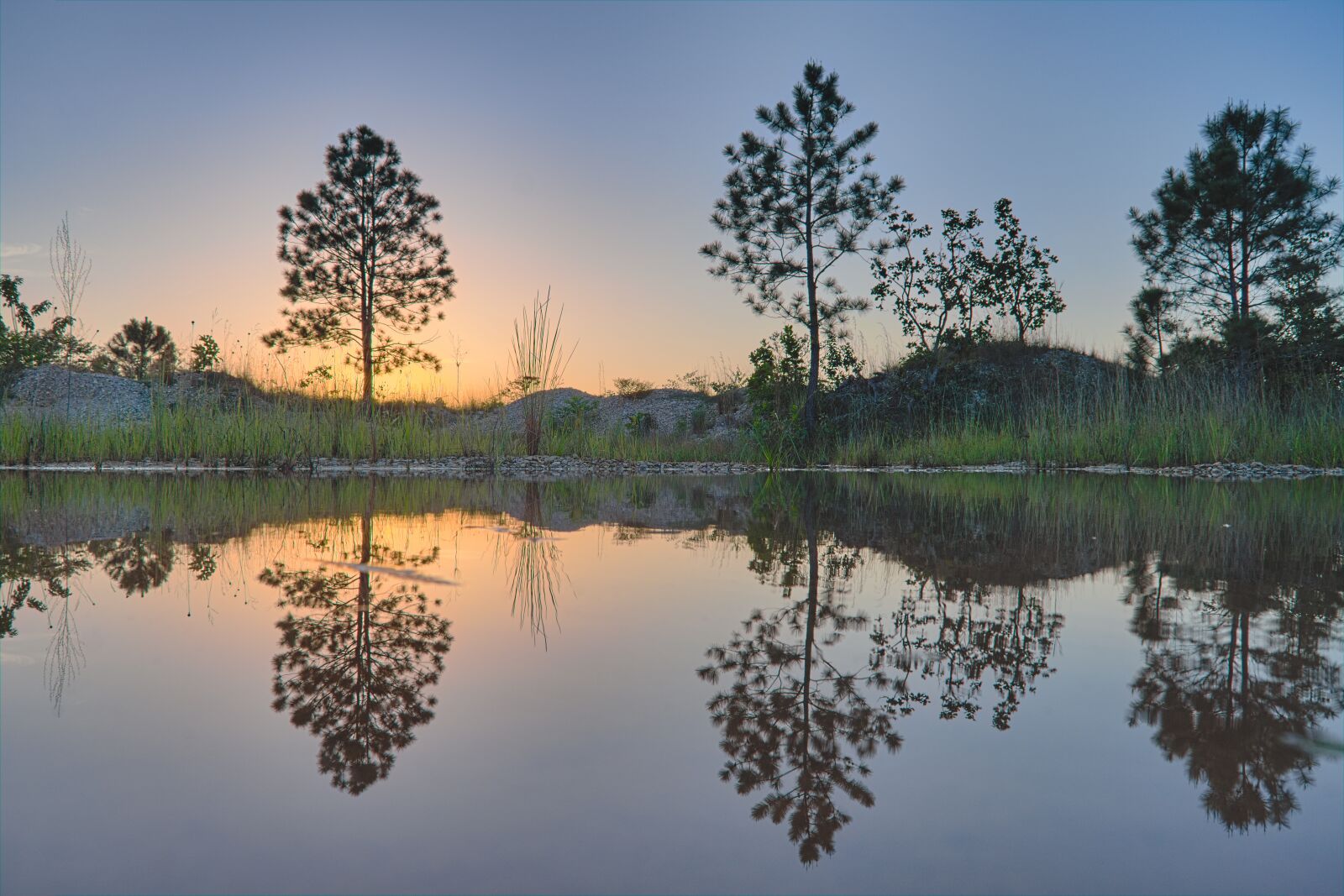 Nikon D7200 sample photo. Trees, water, reflection photography