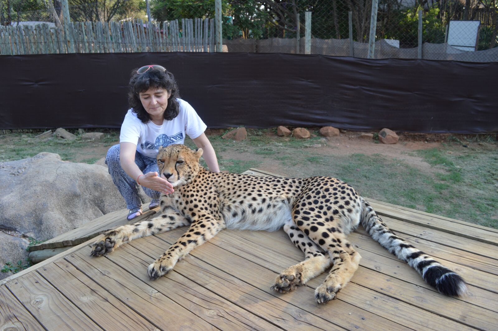 Nikon D3200 sample photo. South africa, lions park photography