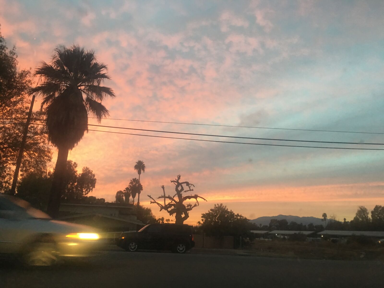 iPhone 6s Plus back camera 4.15mm f/2.2 sample photo