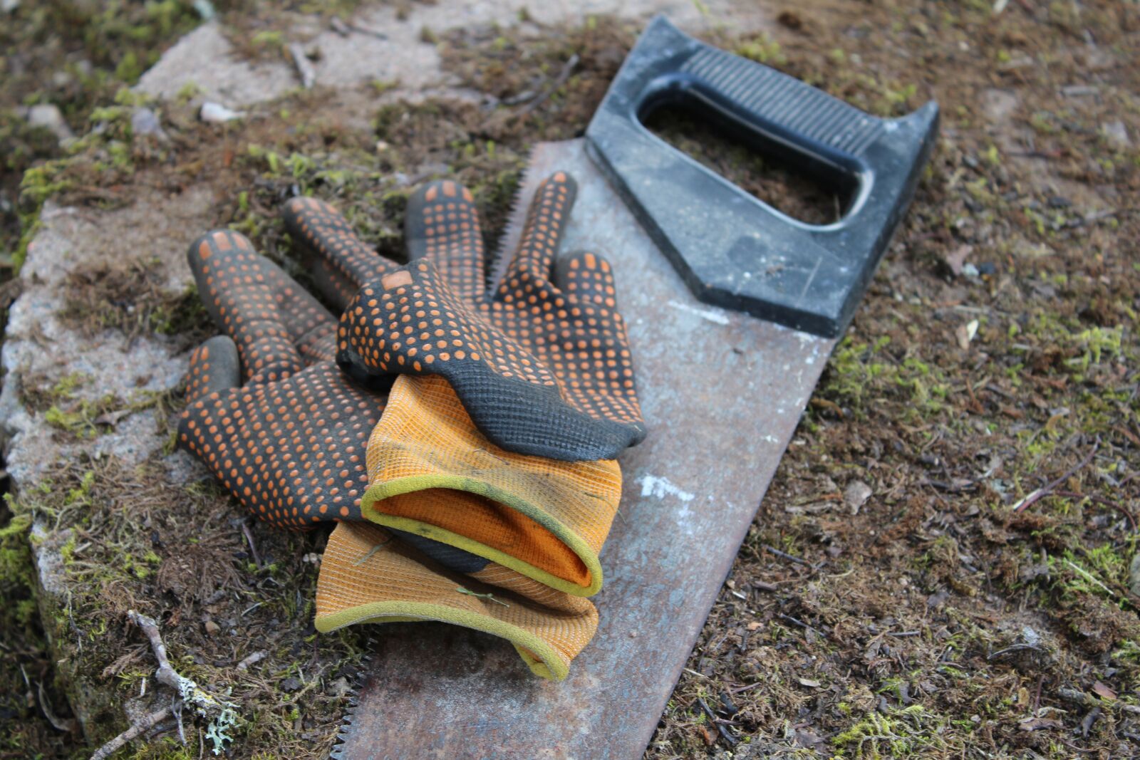 Canon EOS 700D (EOS Rebel T5i / EOS Kiss X7i) sample photo. Saw, work, gloves photography
