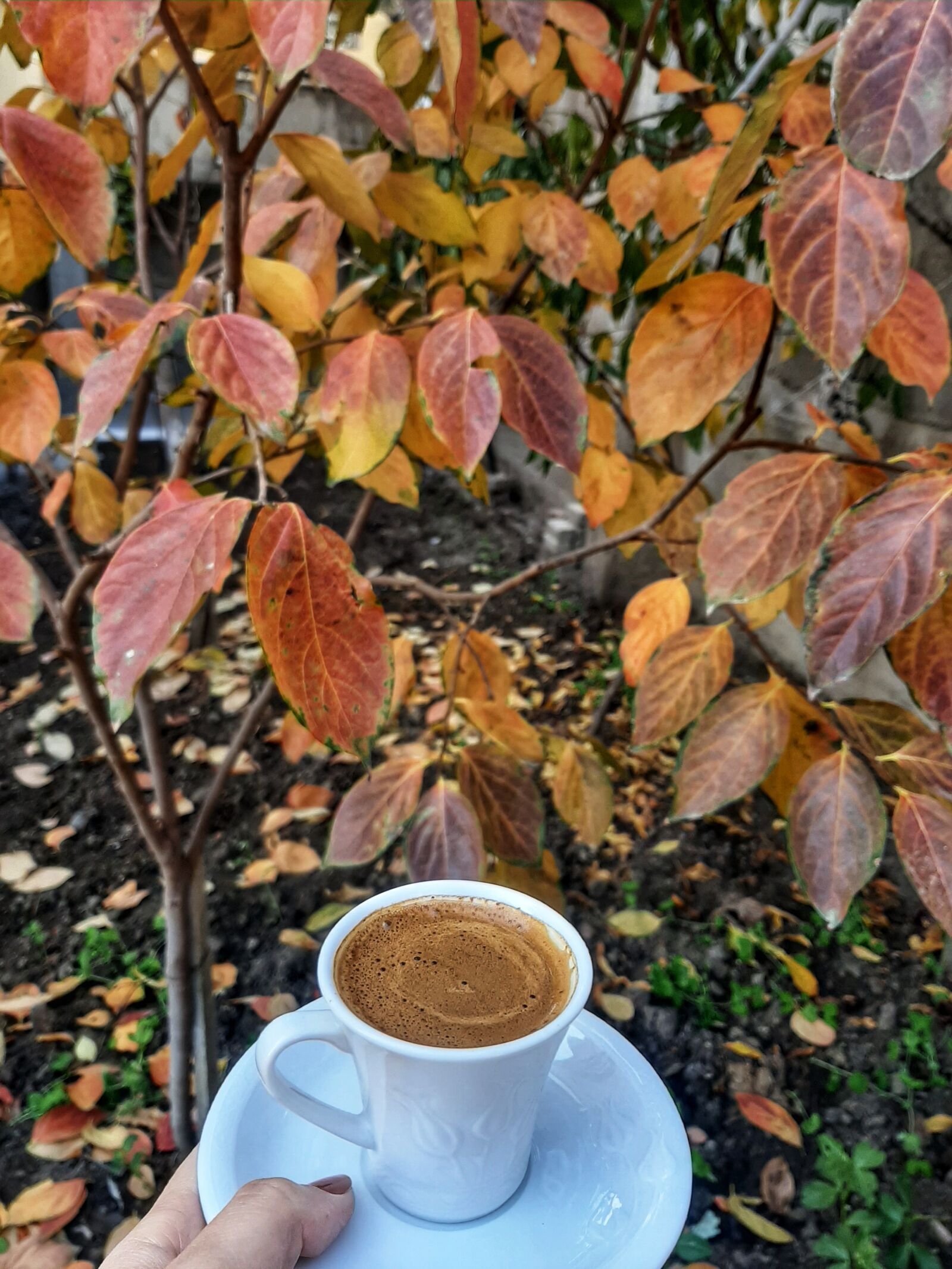 Samsung Galaxy A50 sample photo. Turkish coffee, autumn, cup photography