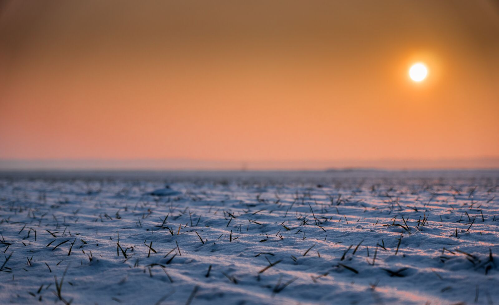 Sony DT 16-50mm F2.8 SSM sample photo. Landscap, nature, walk, winter photography