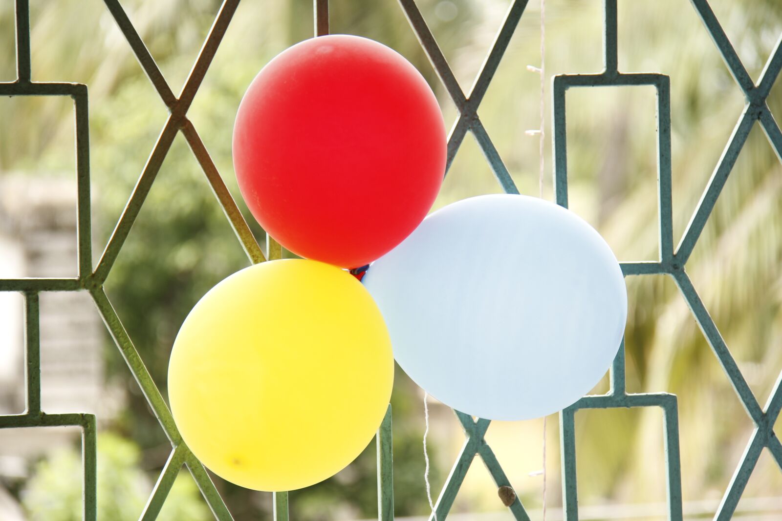 Canon EOS 7D sample photo. Balloons, colorful, floating photography