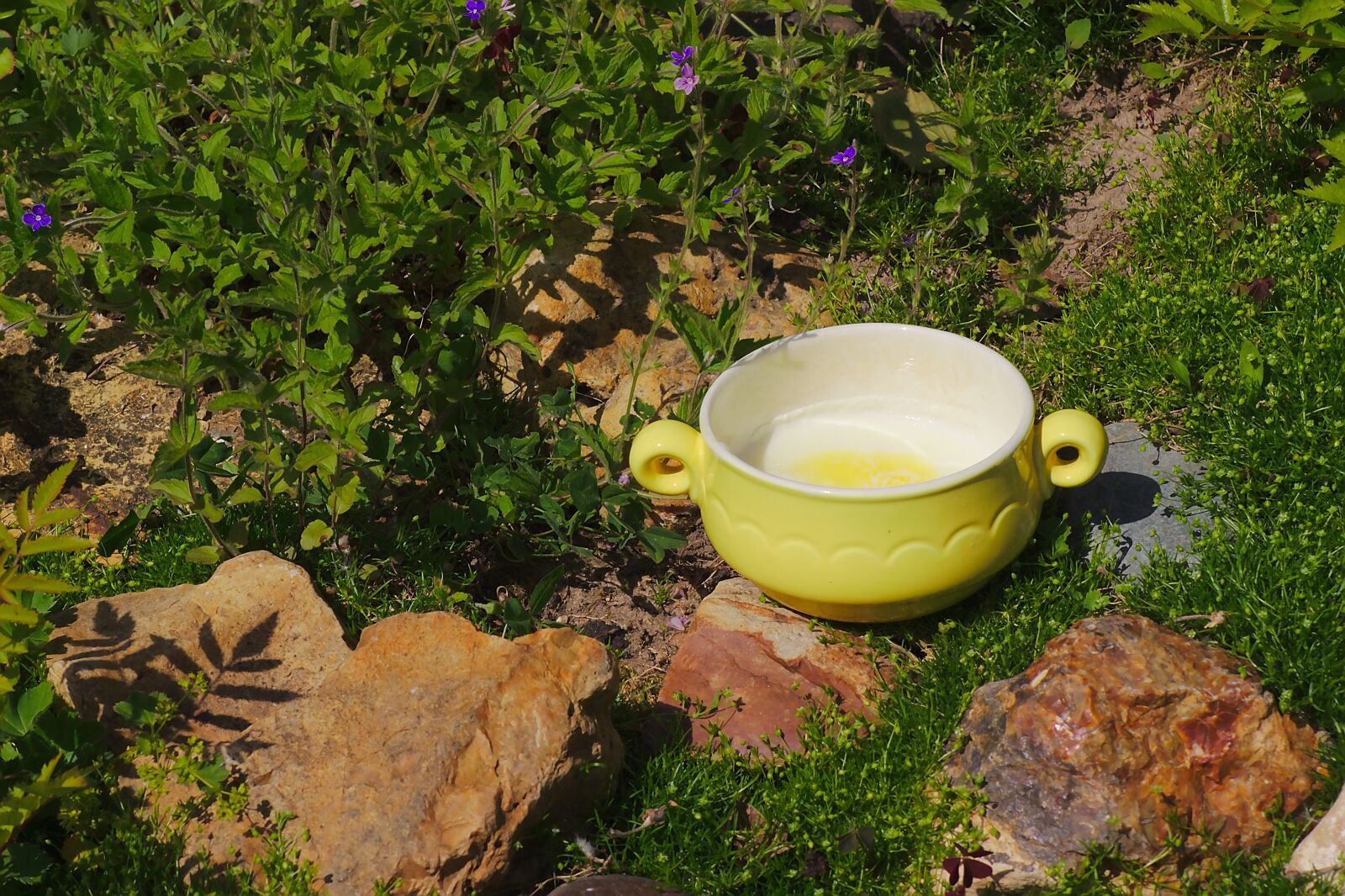 Canon EOS 600D (Rebel EOS T3i / EOS Kiss X5) + Canon EF 50mm F1.8 II sample photo. Nature, porridge, food photography