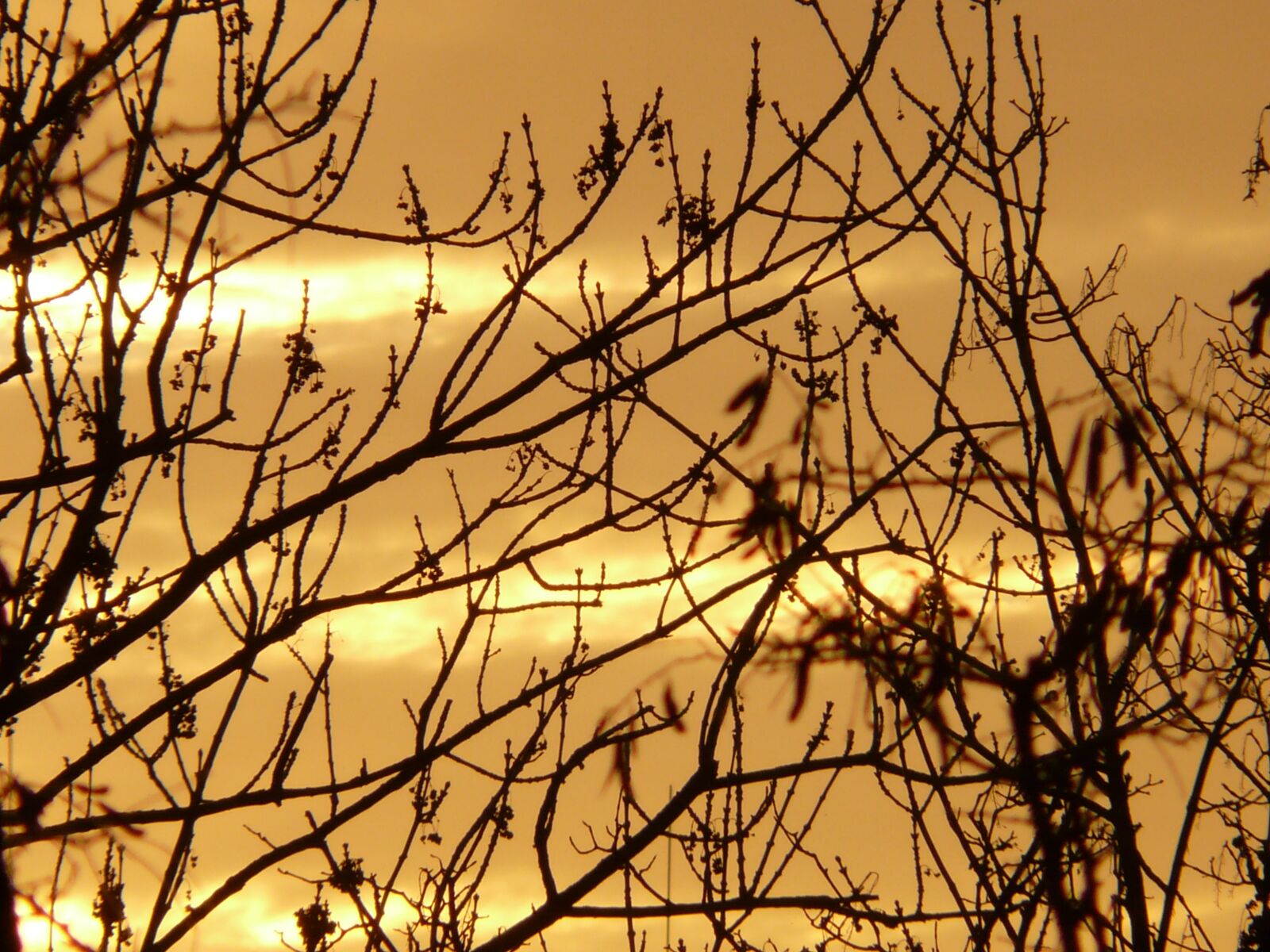 Panasonic DMC-FZ18 sample photo. Sunrise, sky, golden photography