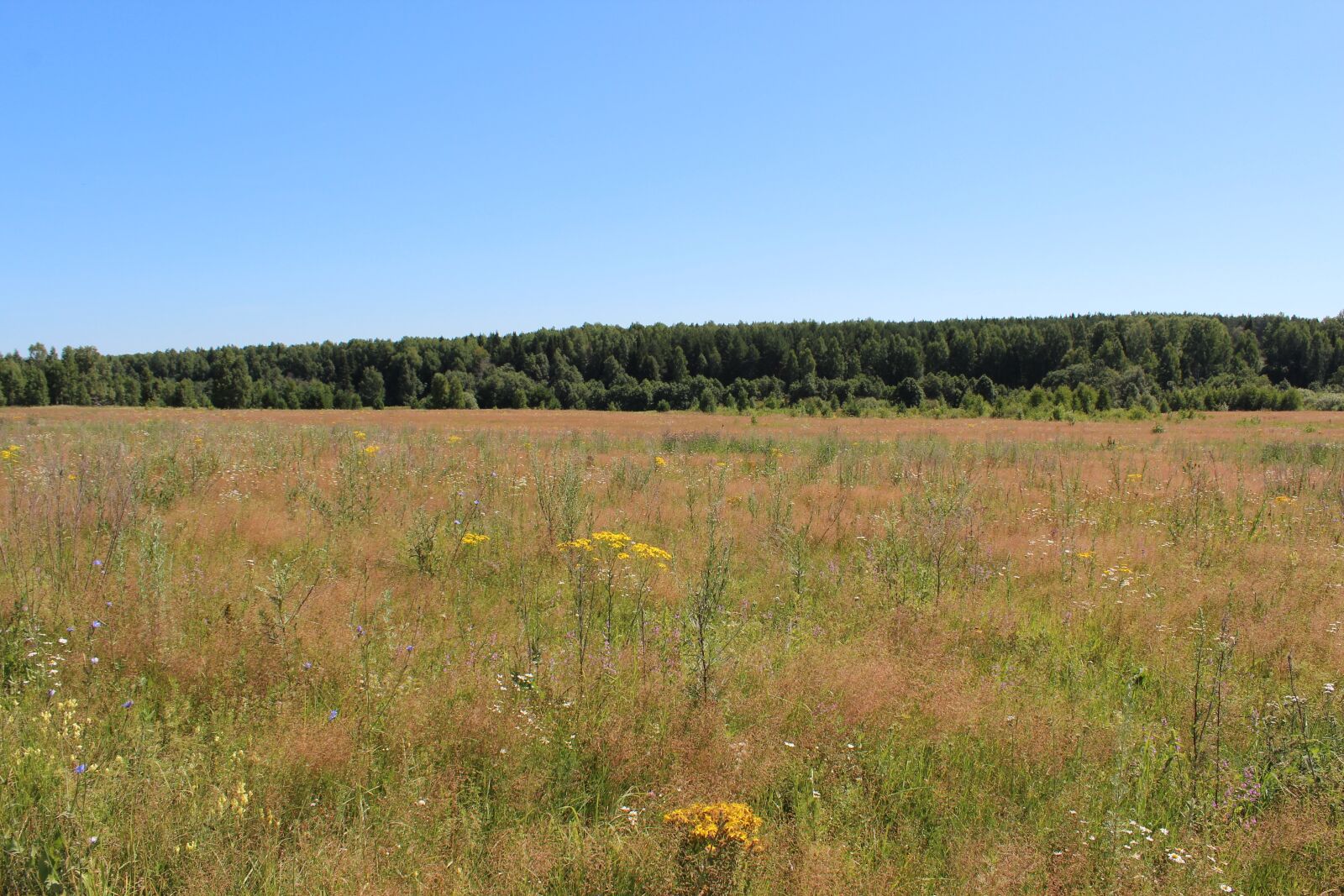 Canon EOS 600D (Rebel EOS T3i / EOS Kiss X5) sample photo. Landscape, nature, panoramic photography
